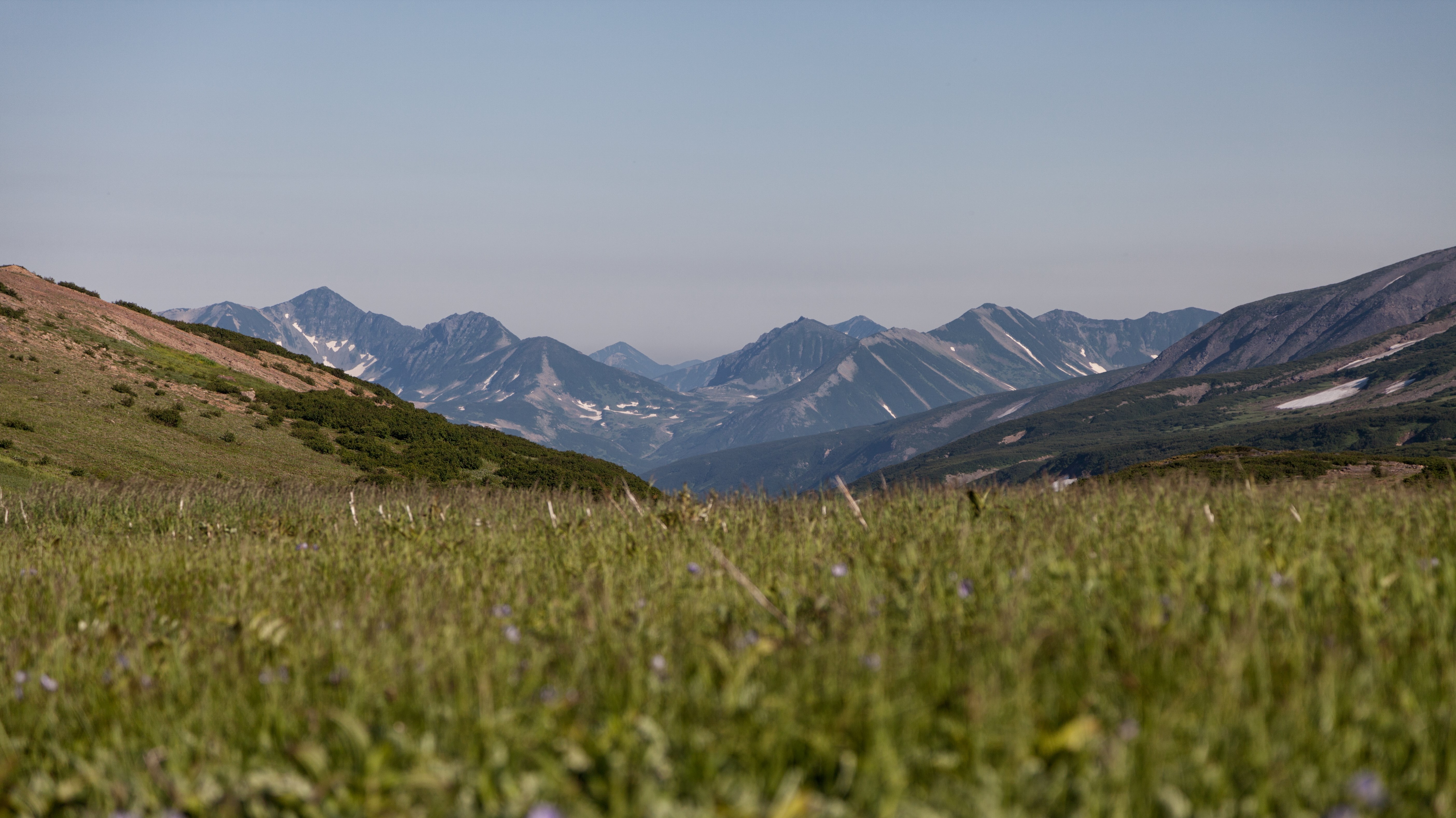 Grassy Meadow with Distant Mountains Under Clear Sky HD Wallpaper