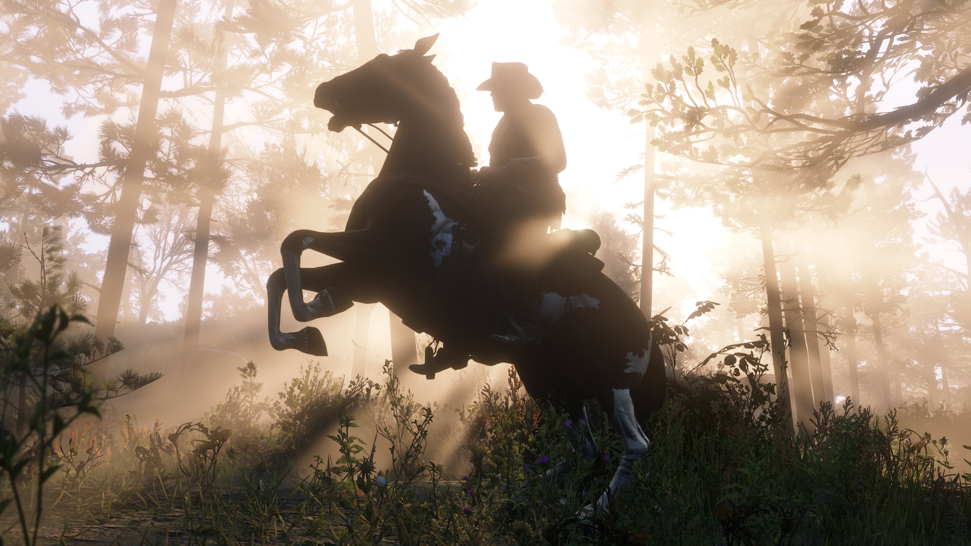 Arthur Morgan on a horse in a forest HD Wallpaper