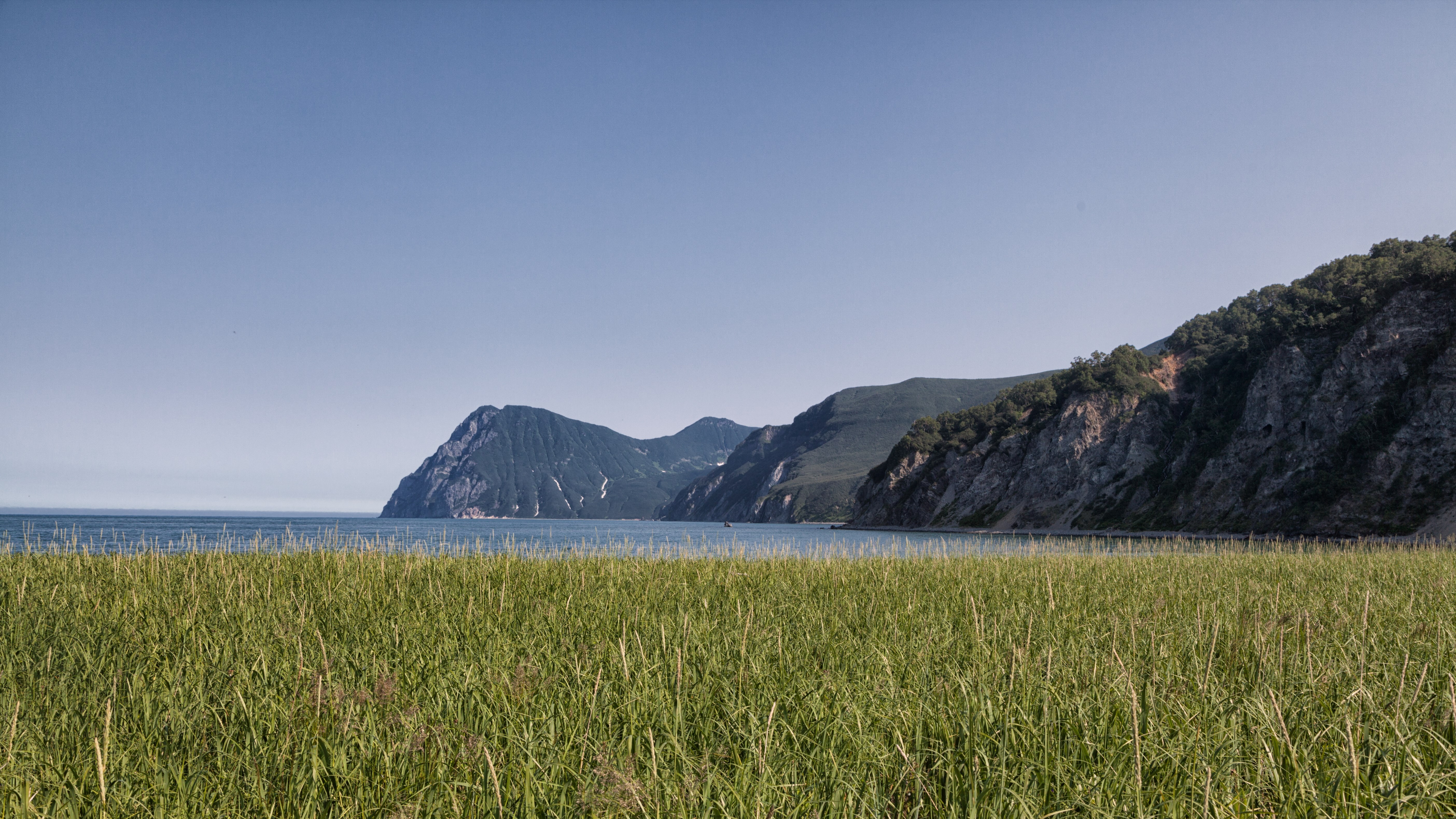 Grassy field with mountains and ocean HD Wallpaper