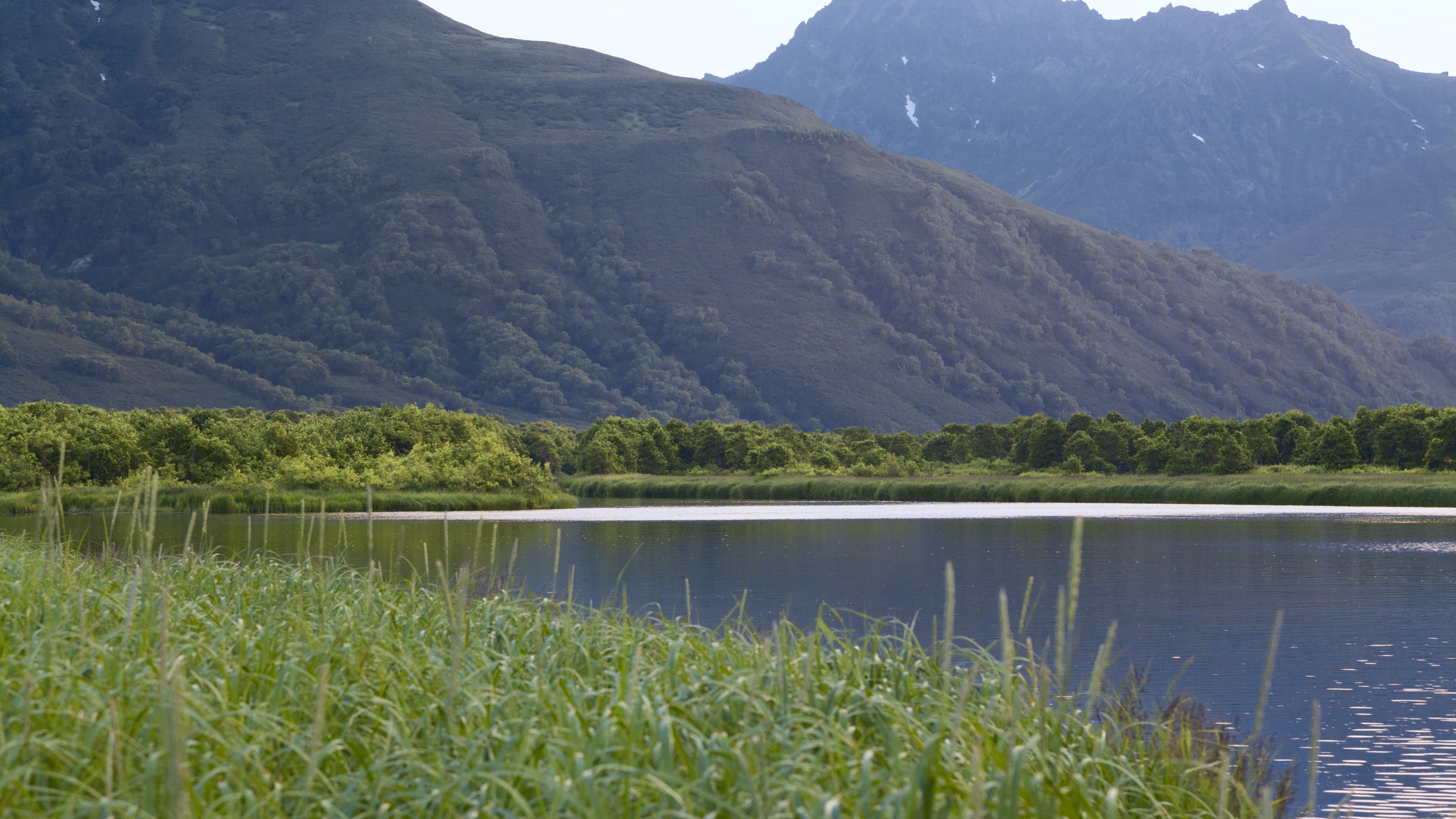 Grassy lake shore with mountains in the background HD Wallpaper