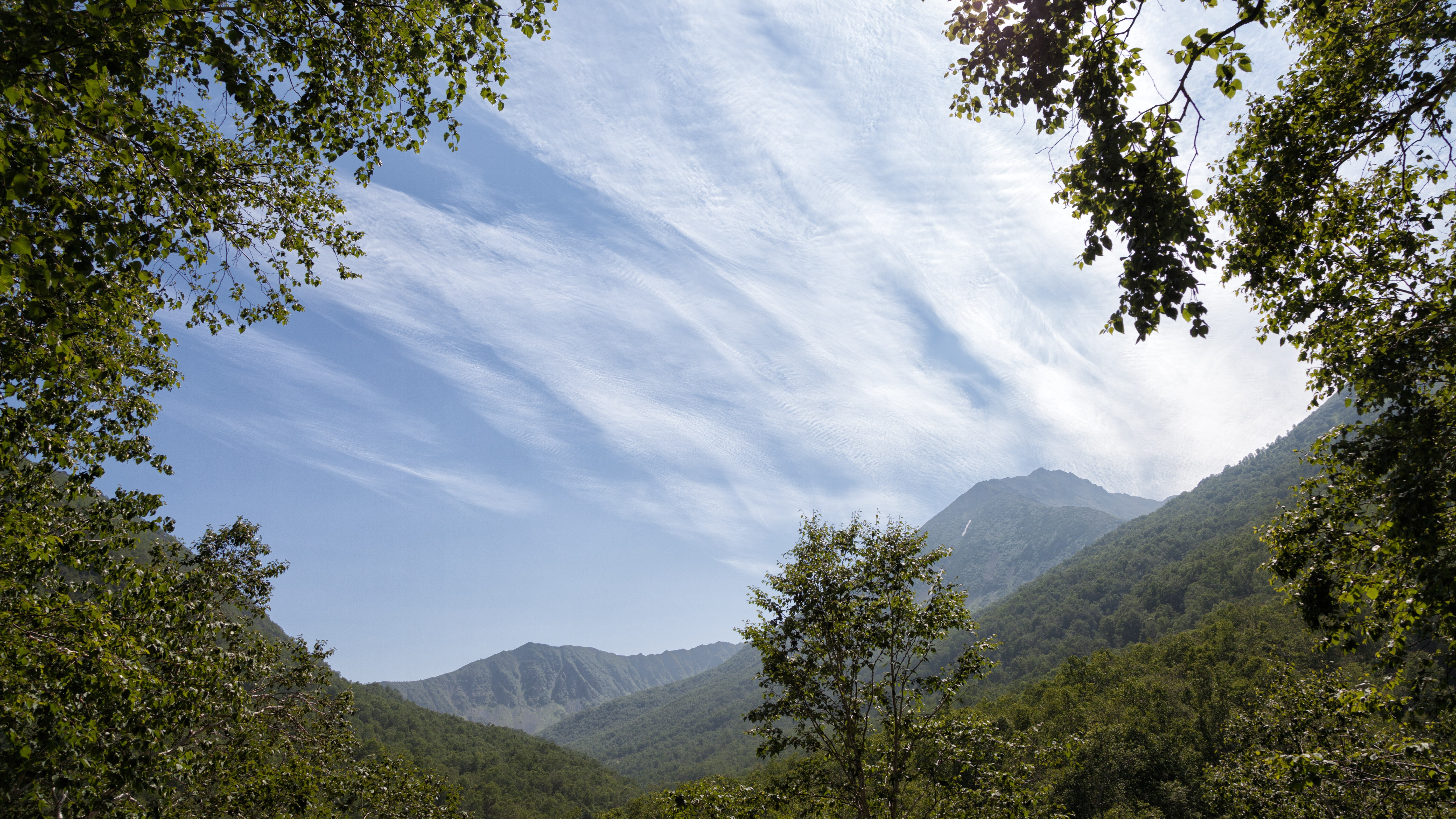 Framed view of mountains and sky through trees HD Wallpaper