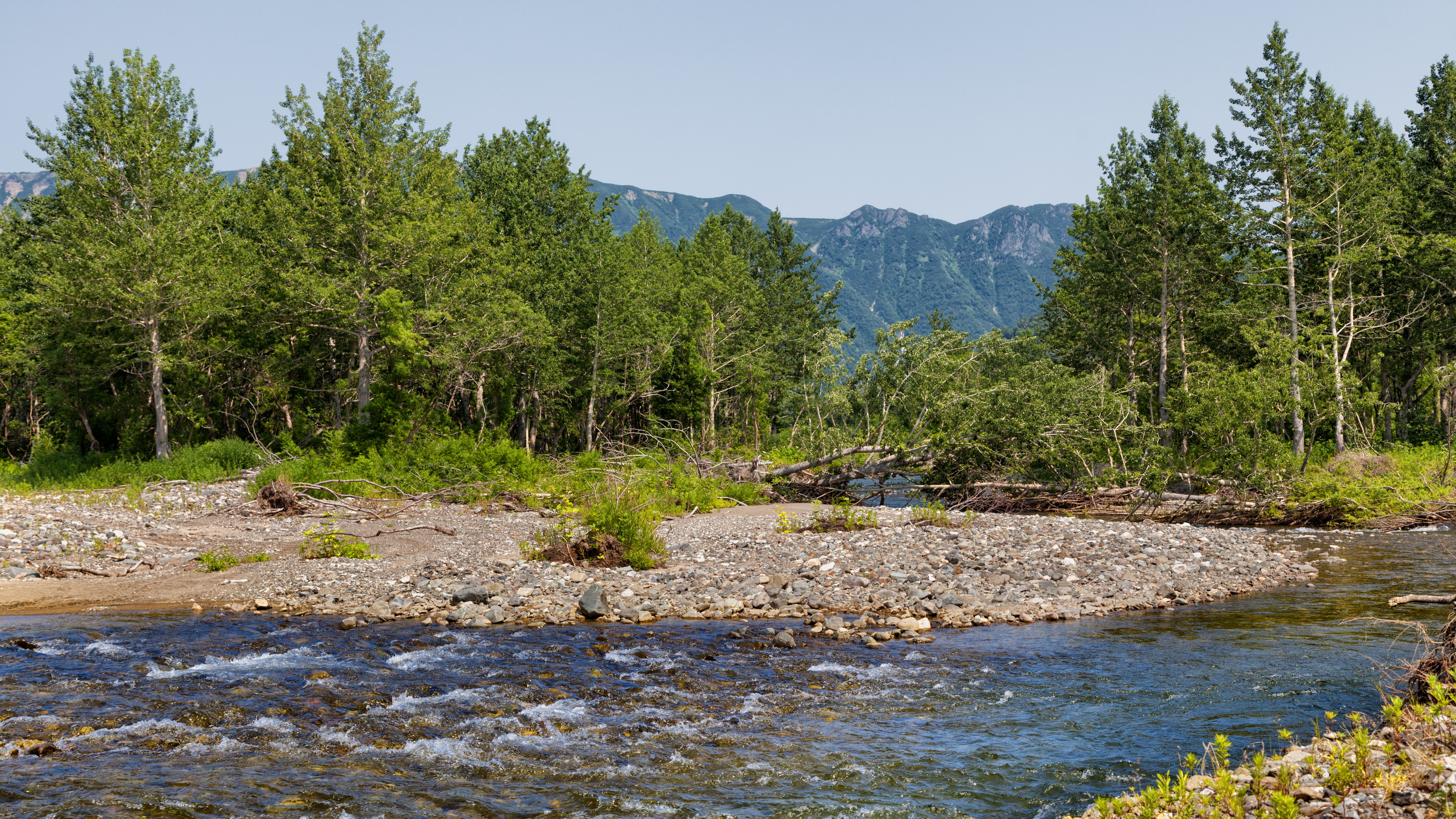 River flowing through a forest with mountains in the background HD Wallpaper