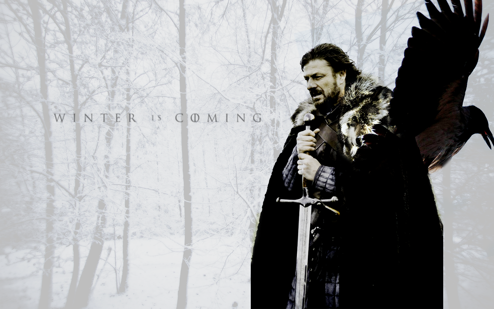 Eddard Stark from Game of Thrones with a raven HD Wallpaper