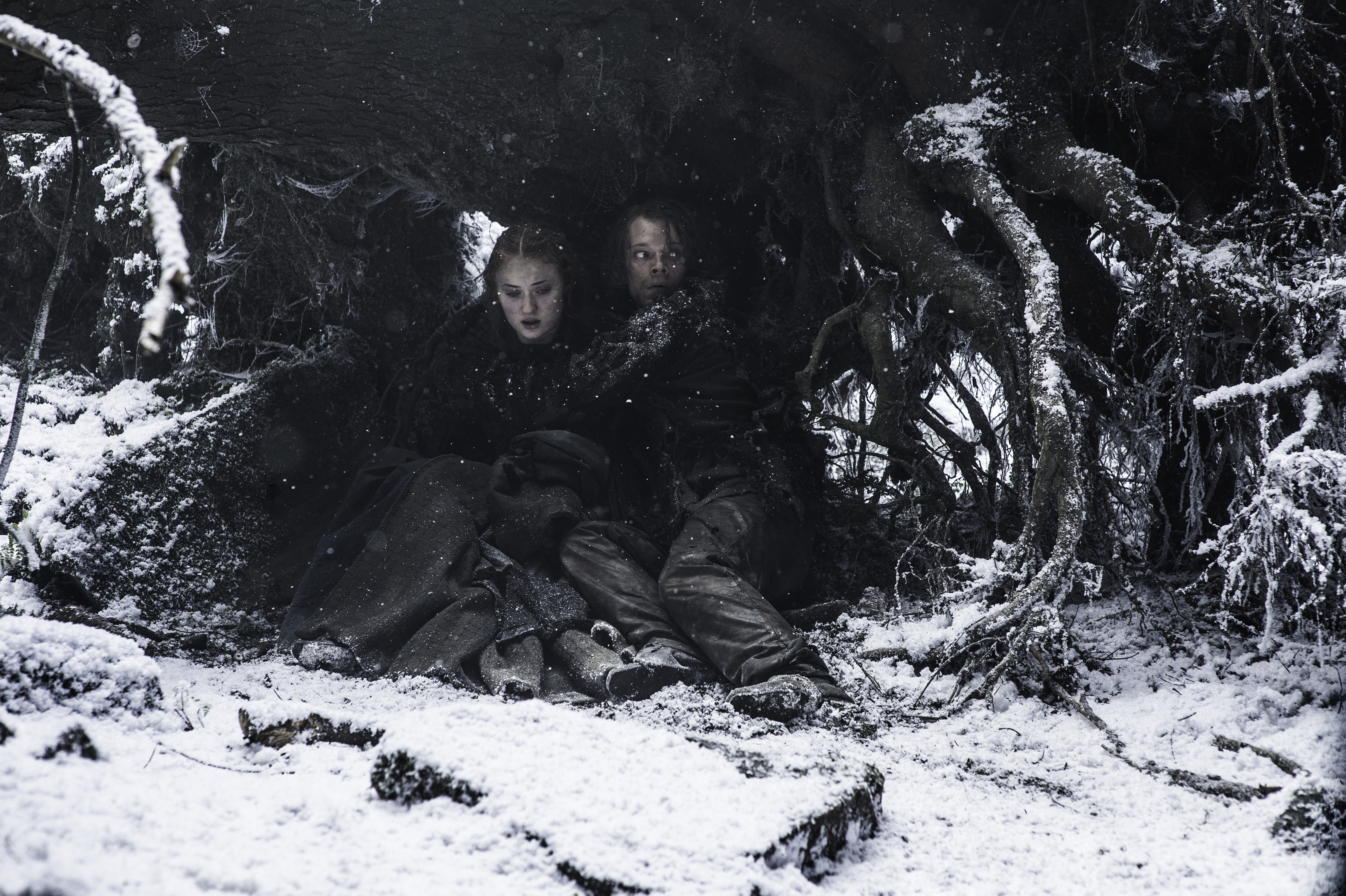 Theon Greyjoy and Sansa Stark in winter HD Wallpaper