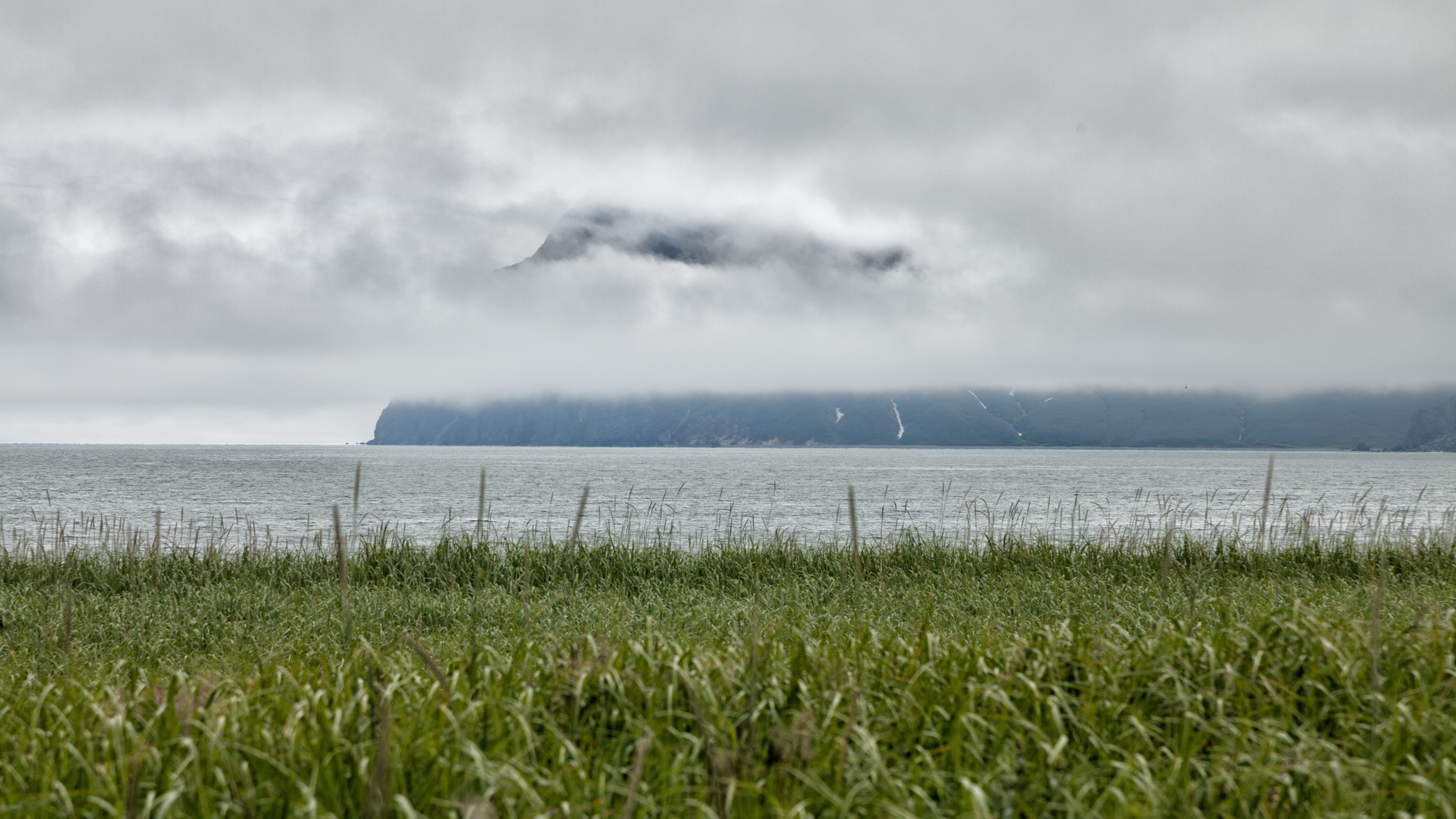 Foggy Coastline with Grassy Foreground HD Wallpaper