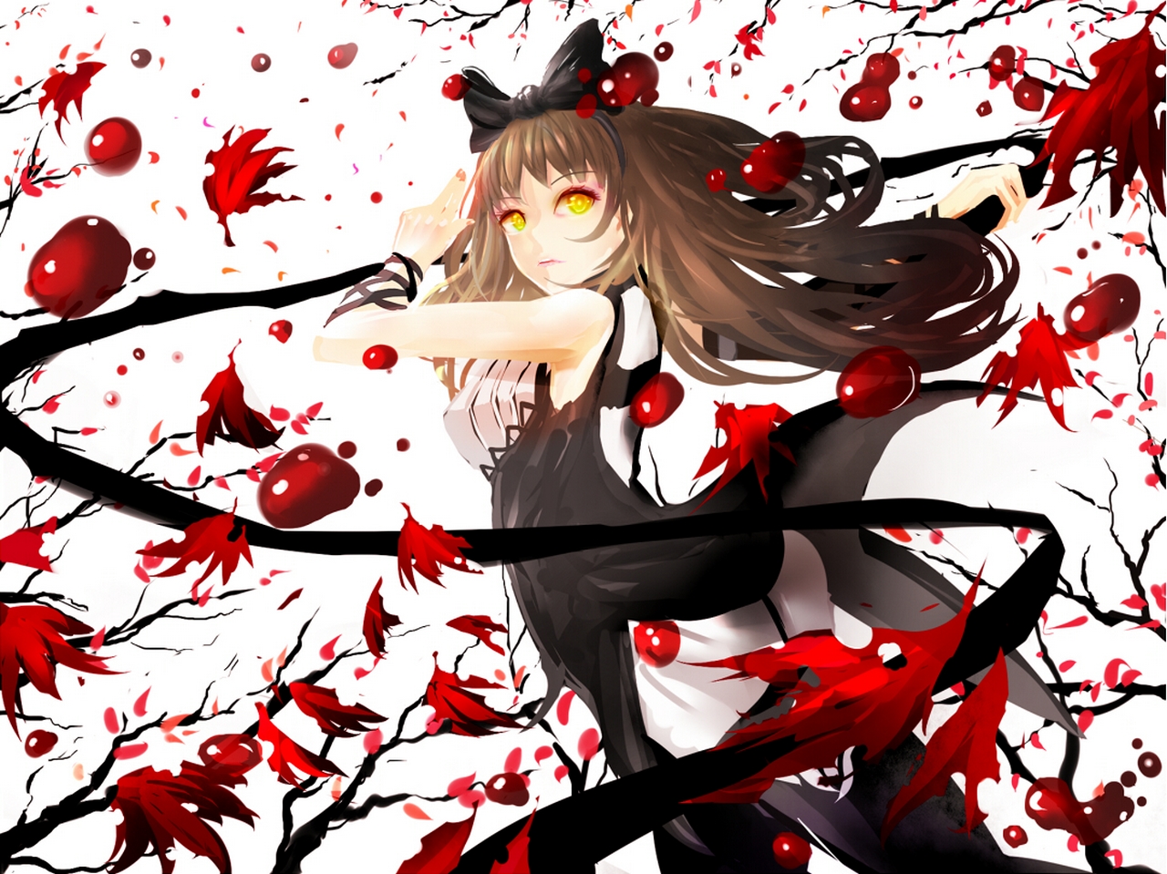 Blake Belladonna from RWBY HD Wallpaper