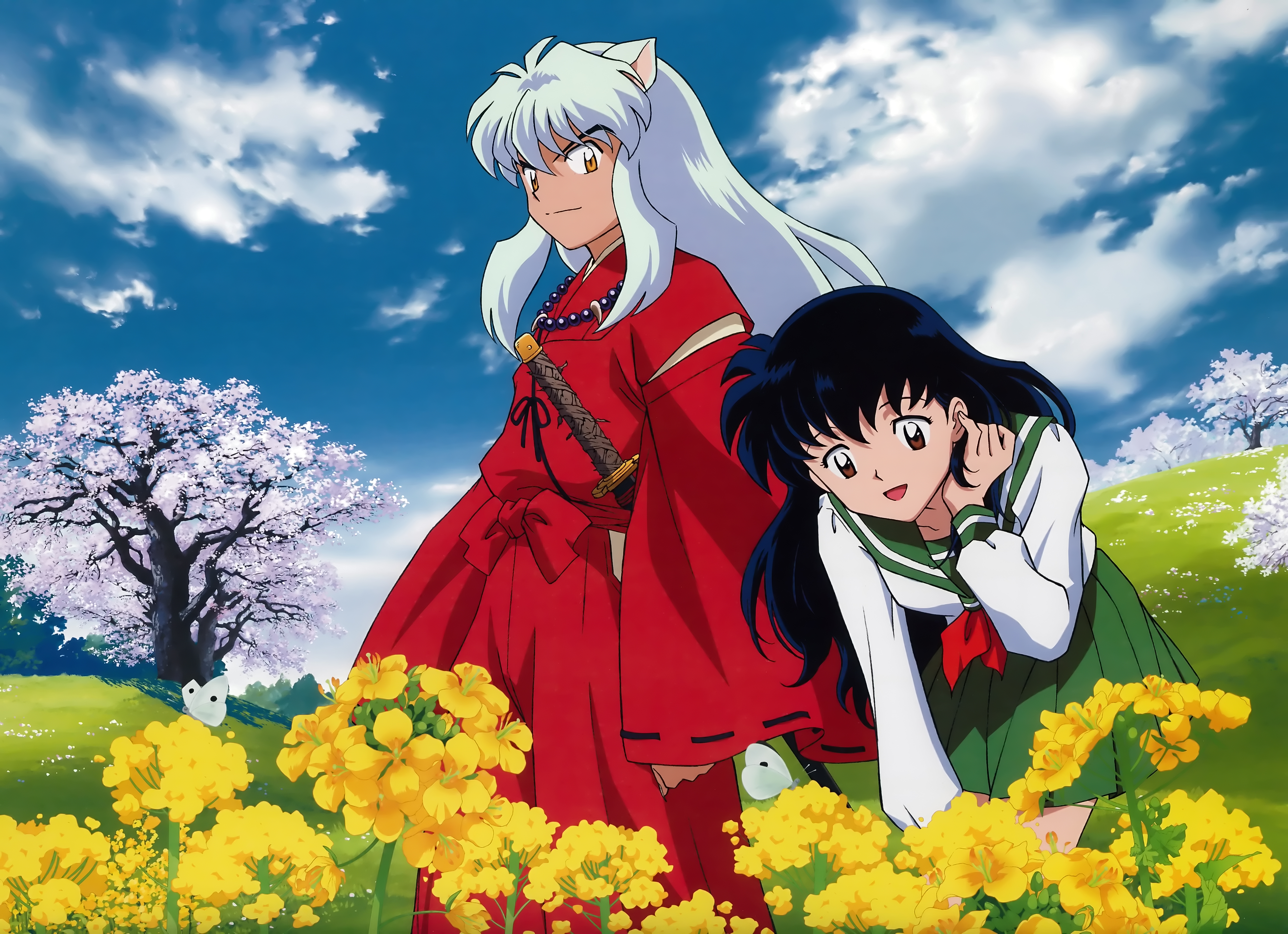 Inuyasha and Kagome in a field of flowers HD Wallpaper