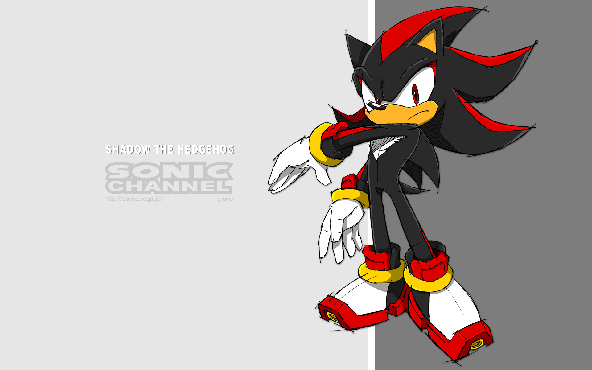 Shadow the Hedgehog from Sonic Channel HD Wallpaper