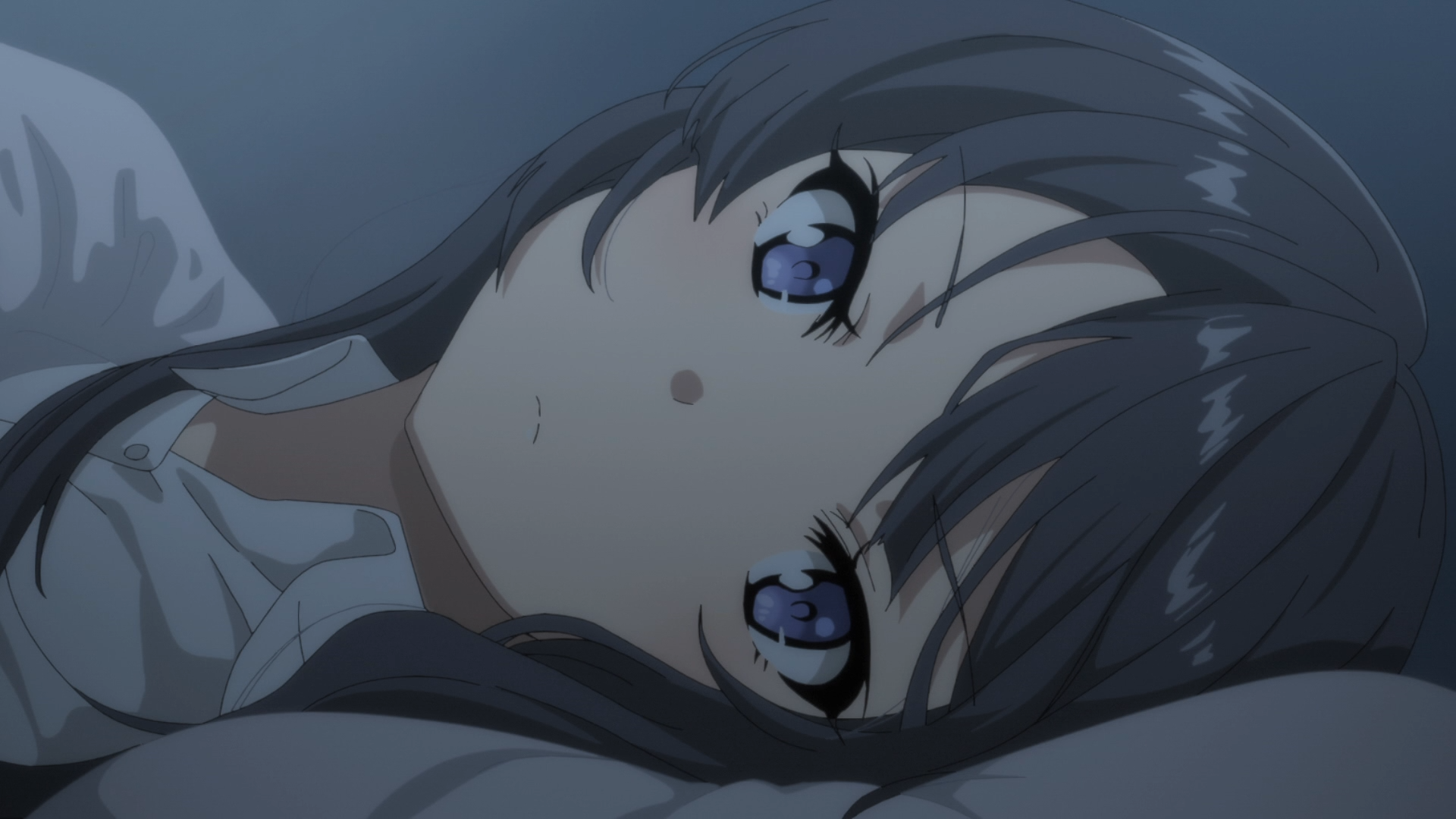 Mai Sakurajima Seishun Buta Yarou Wa Bunny Girl Senpai No Yume Wo 