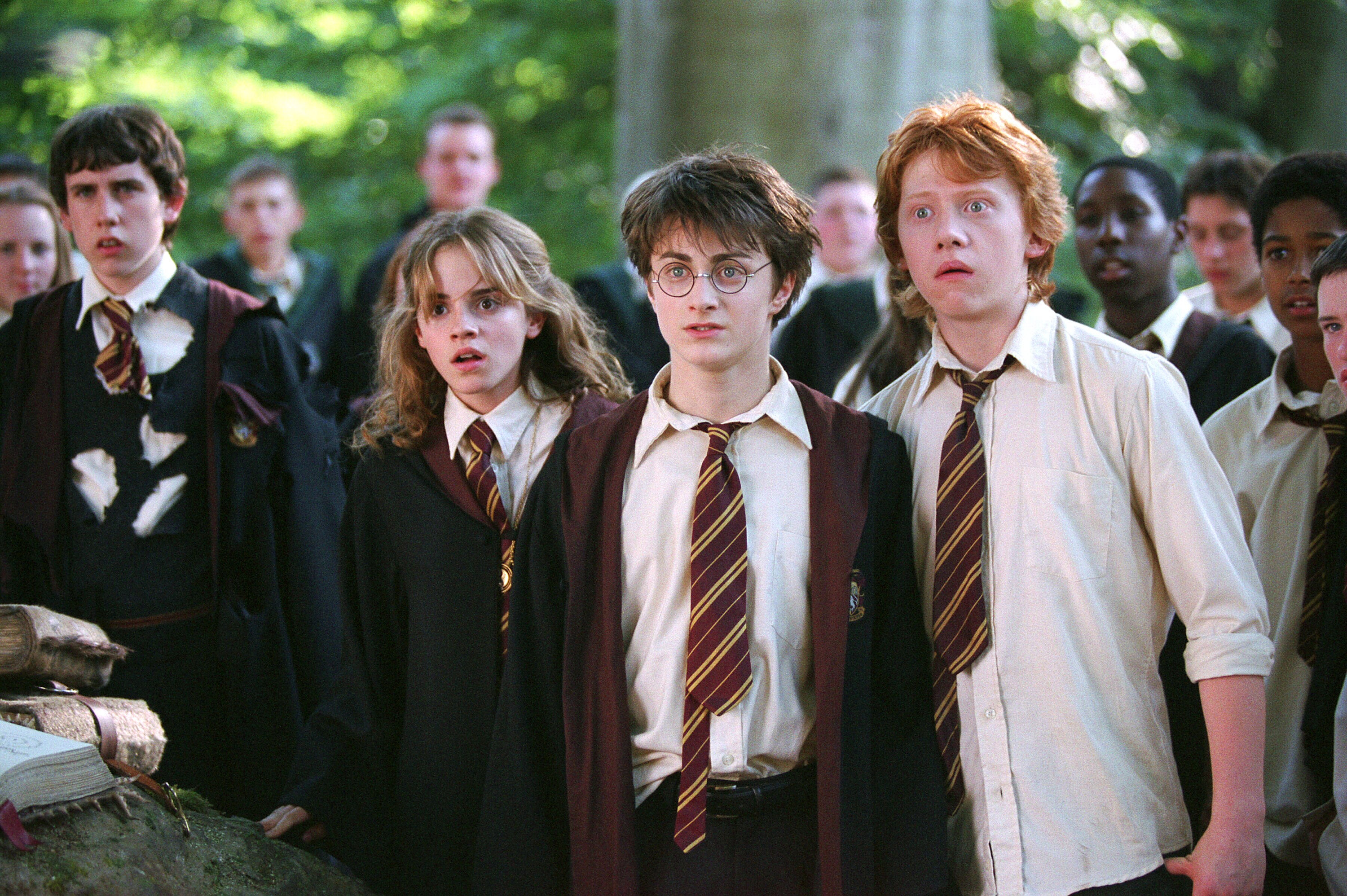 Harry Potter, Ron Weasley, and Hermione Granger HD Wallpaper
