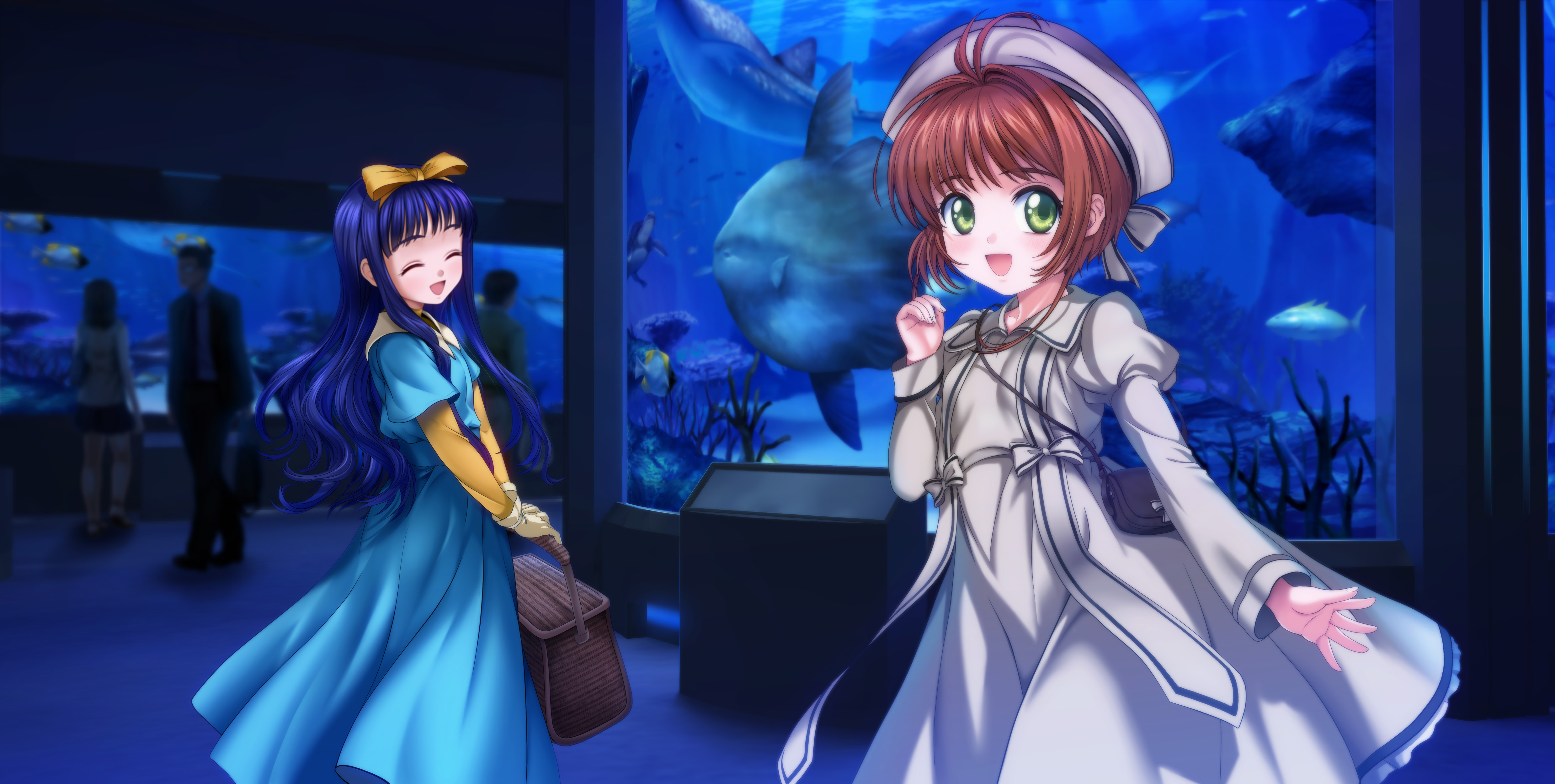 Tomoyo Daidouji at the Aquarium HD Wallpaper