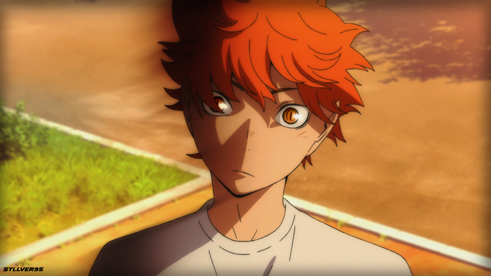 Shōyō Hinata from Haikyuu!! HD Wallpaper