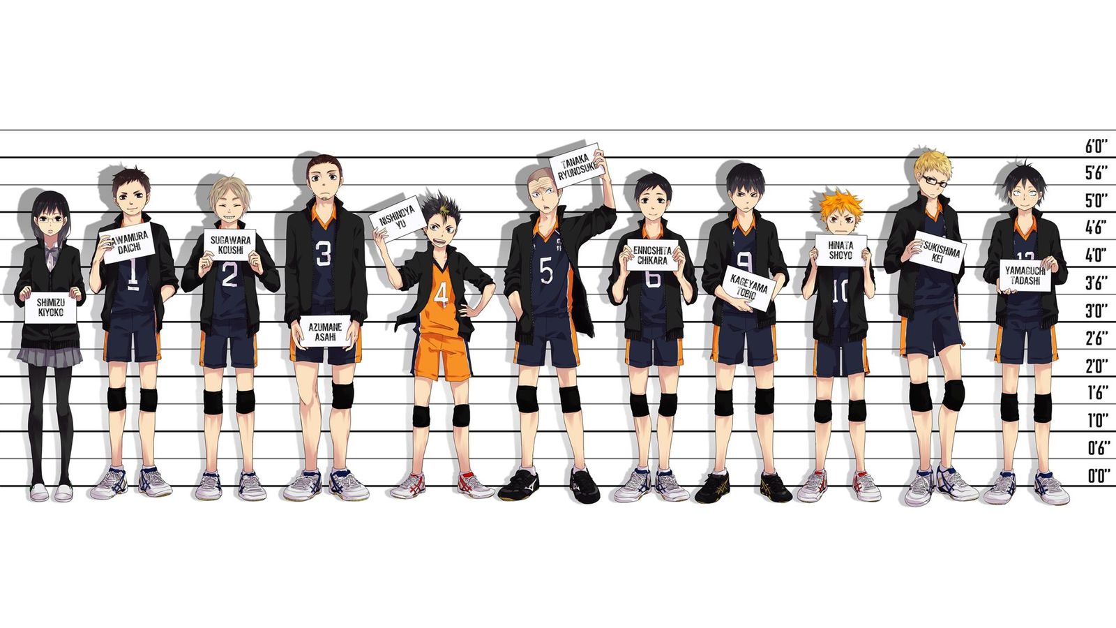 Haikyuu!! characters in a lineup HD Wallpaper