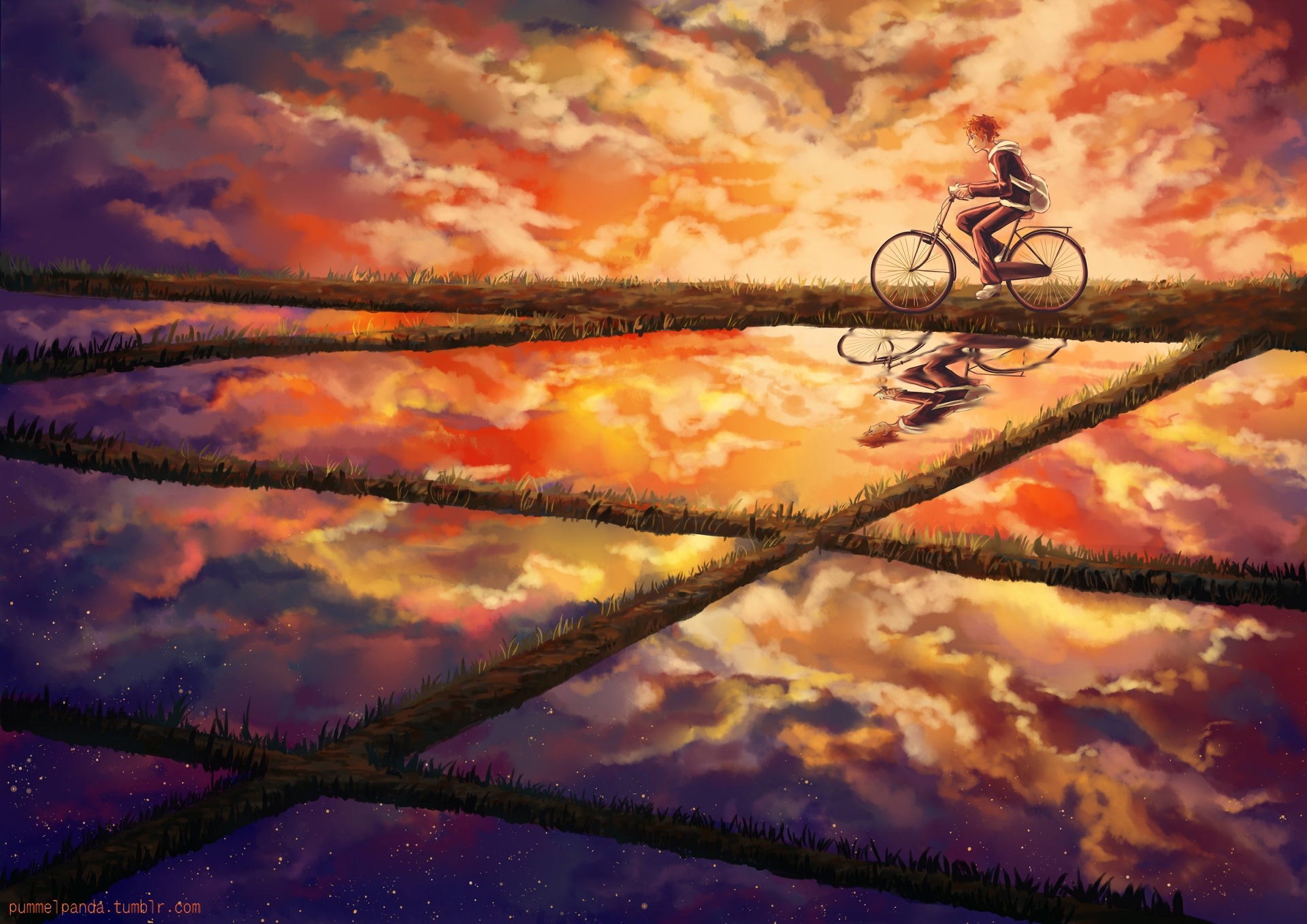 Shōyō Hinata riding a bicycle at sunset HD Wallpaper
