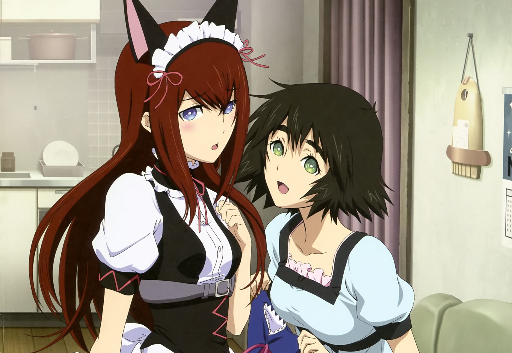 Kurisu Makise and Mayuri Shiina from Steins;Gate HD Wallpaper