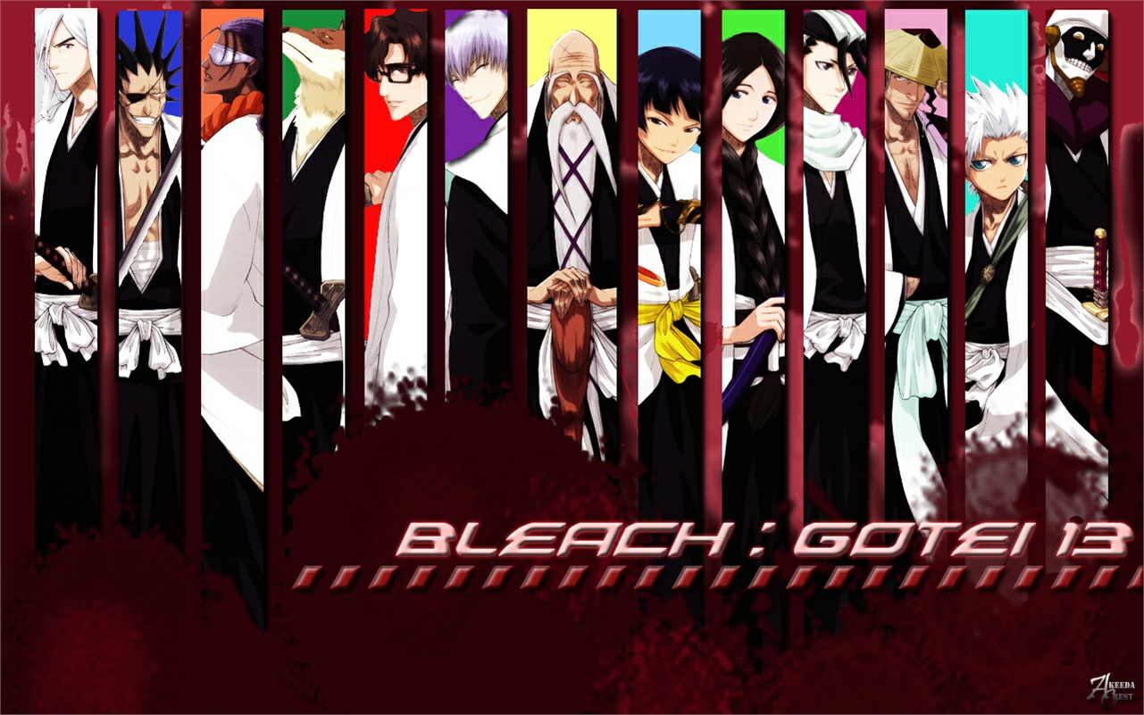 Bleach: Gotei 13 Shinigami HD Wallpaper
