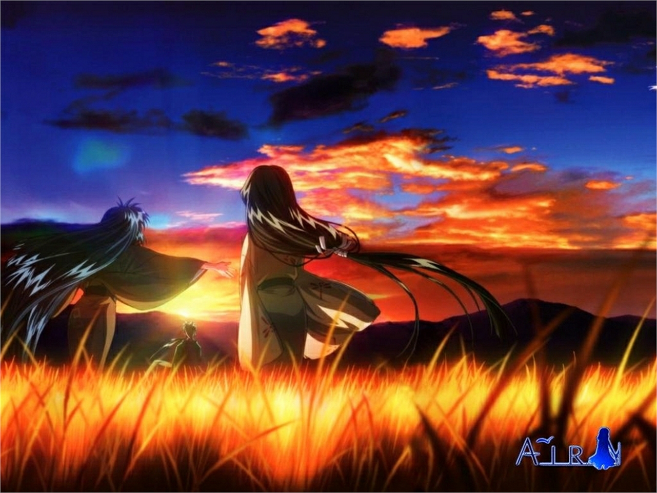 Kanna from Air in a field at sunset HD Wallpaper