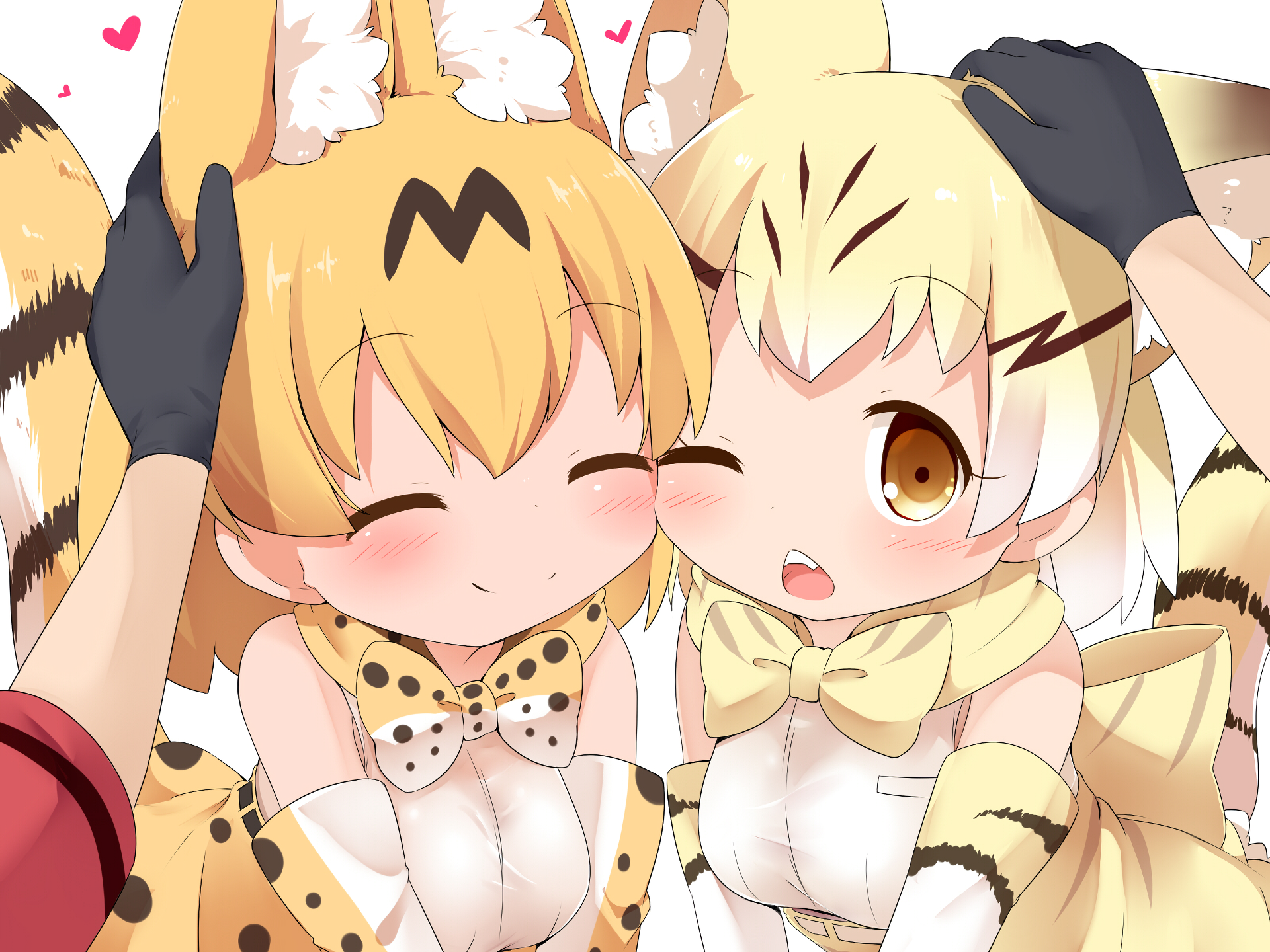 Serval and Caracal from Kemono Friends HD Wallpaper