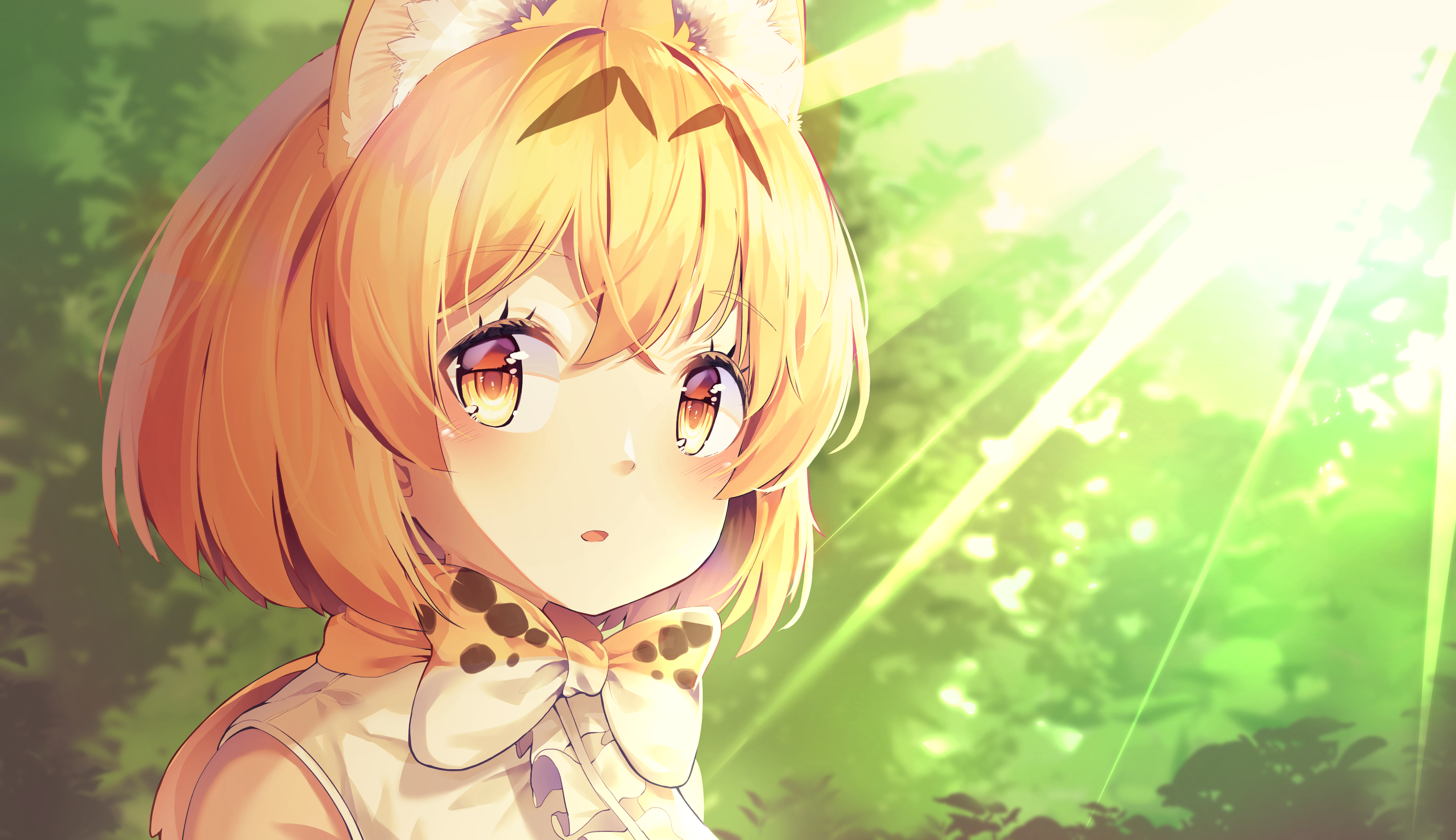 Serval from Kemono Friends HD Wallpaper