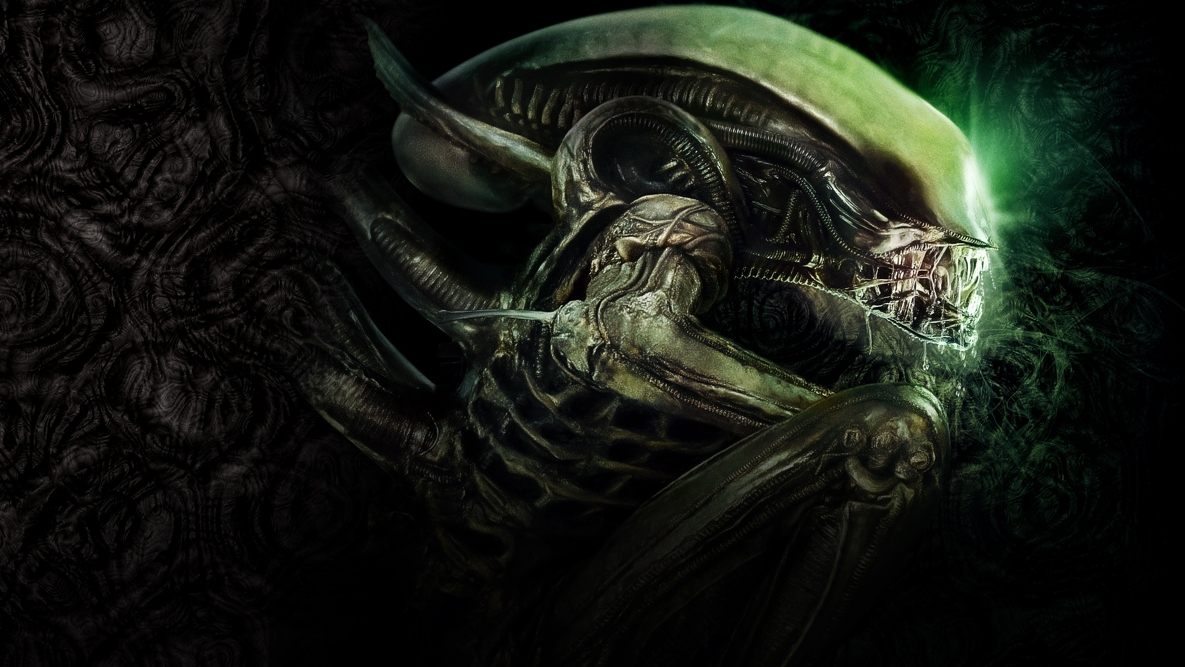 Xenomorph from Alien 4K HD Wallpaper