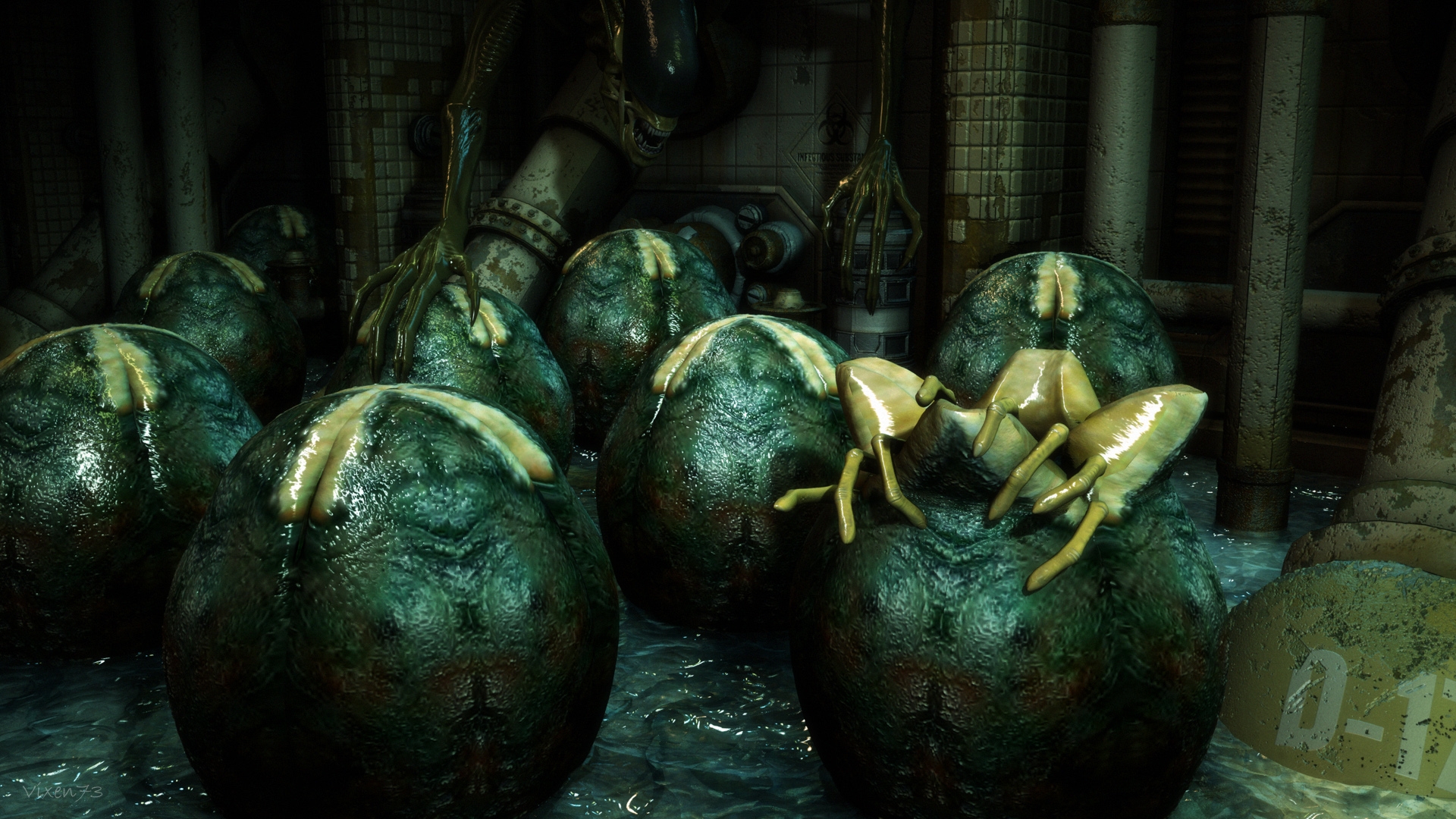 Xenomorph eggs and facehugger HD Wallpaper