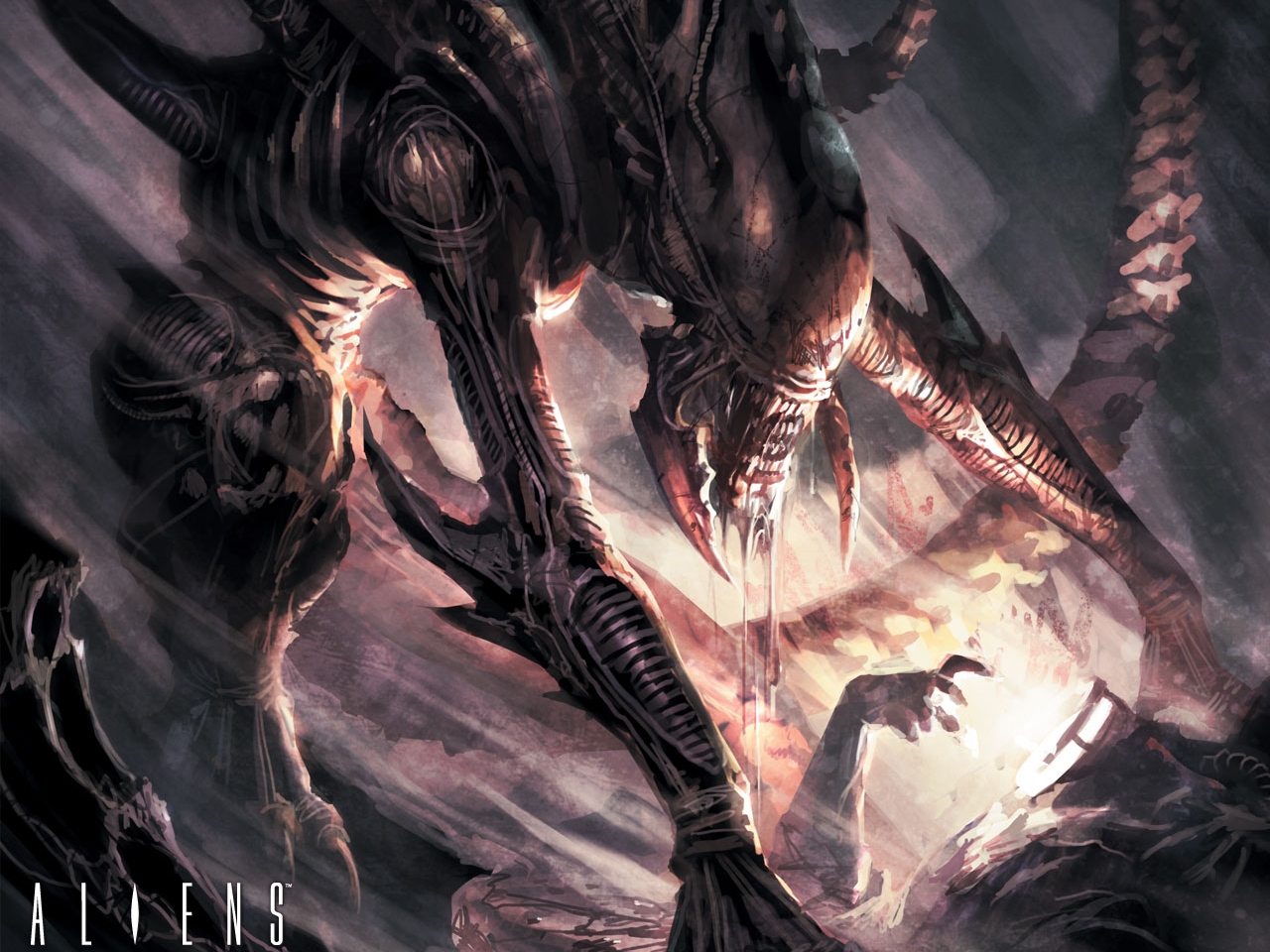 Xenomorph from Aliens HD Wallpaper