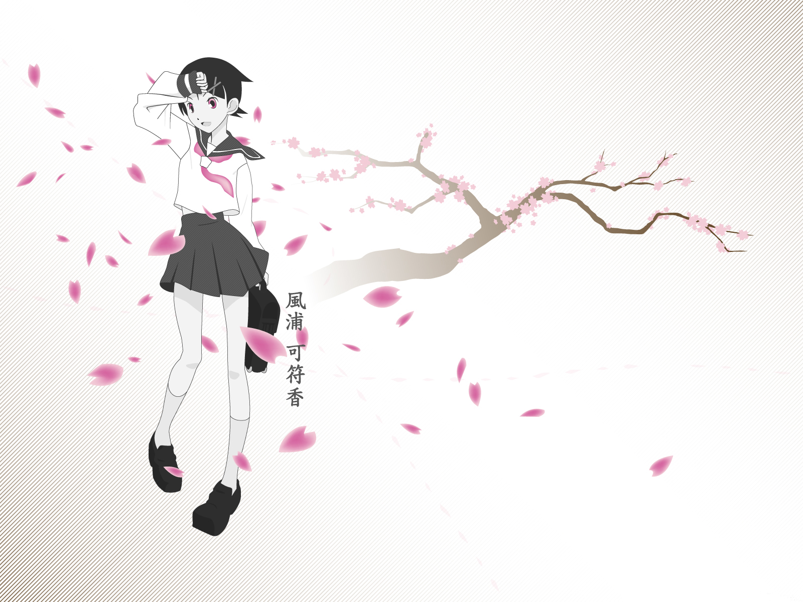 Kafuka Fuura with Cherry Blossoms HD Wallpaper
