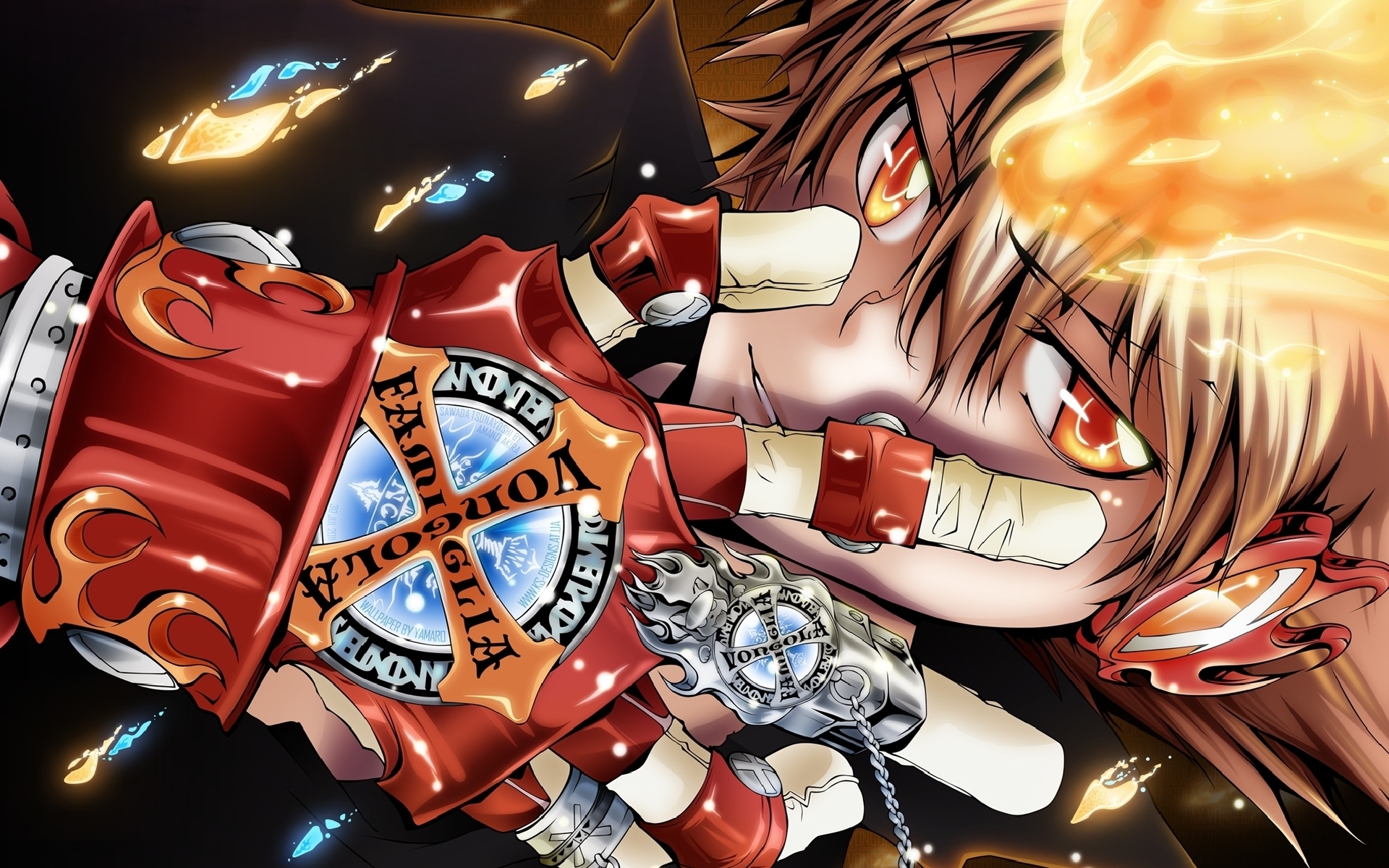 Tsunayoshi Sawada from Reborn! HD Wallpaper