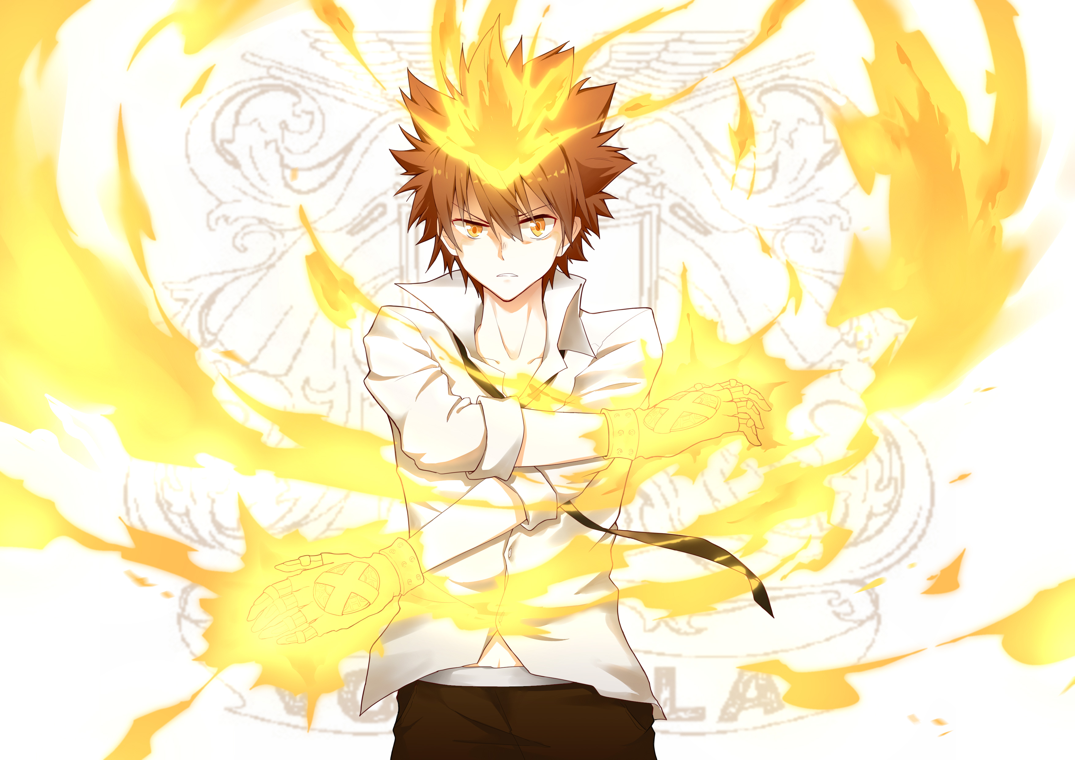 Tsunayoshi Sawada from Reborn! HD Wallpaper