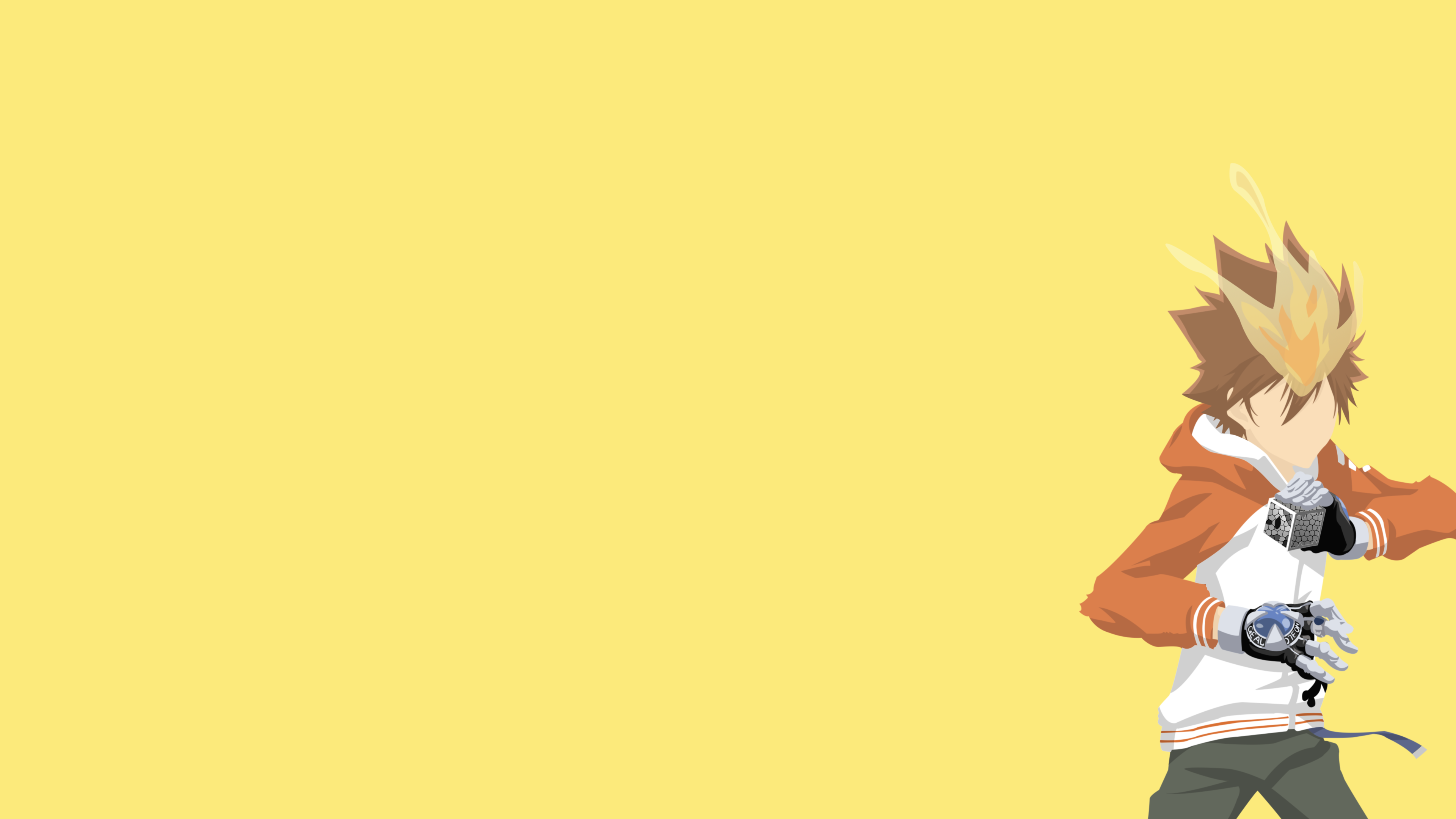 Tsunayoshi Sawada from Reborn! HD Wallpaper