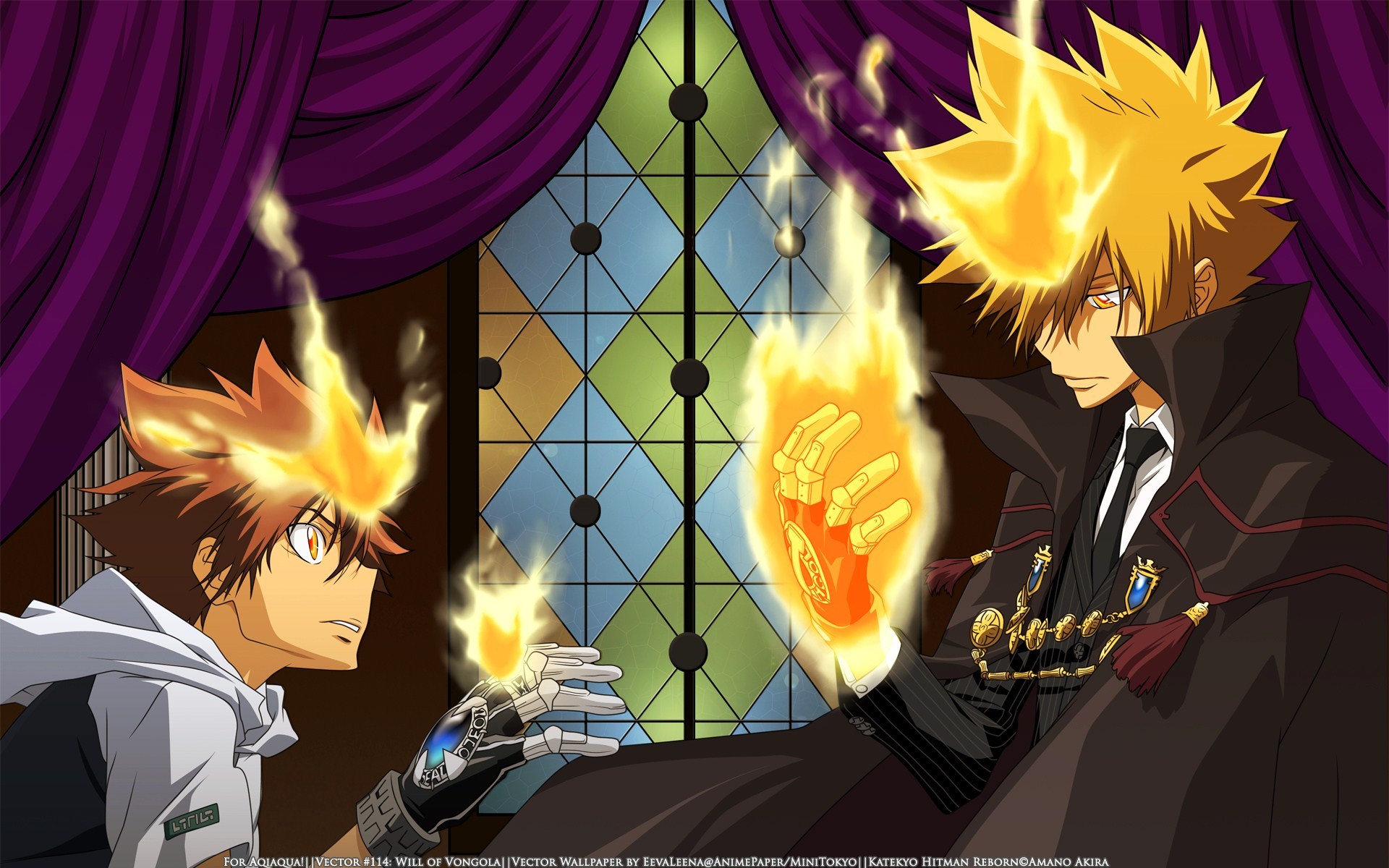 Tsunayoshi Sawada and Enma Kozato from Katekyo Hitman Reborn! HD Wallpaper
