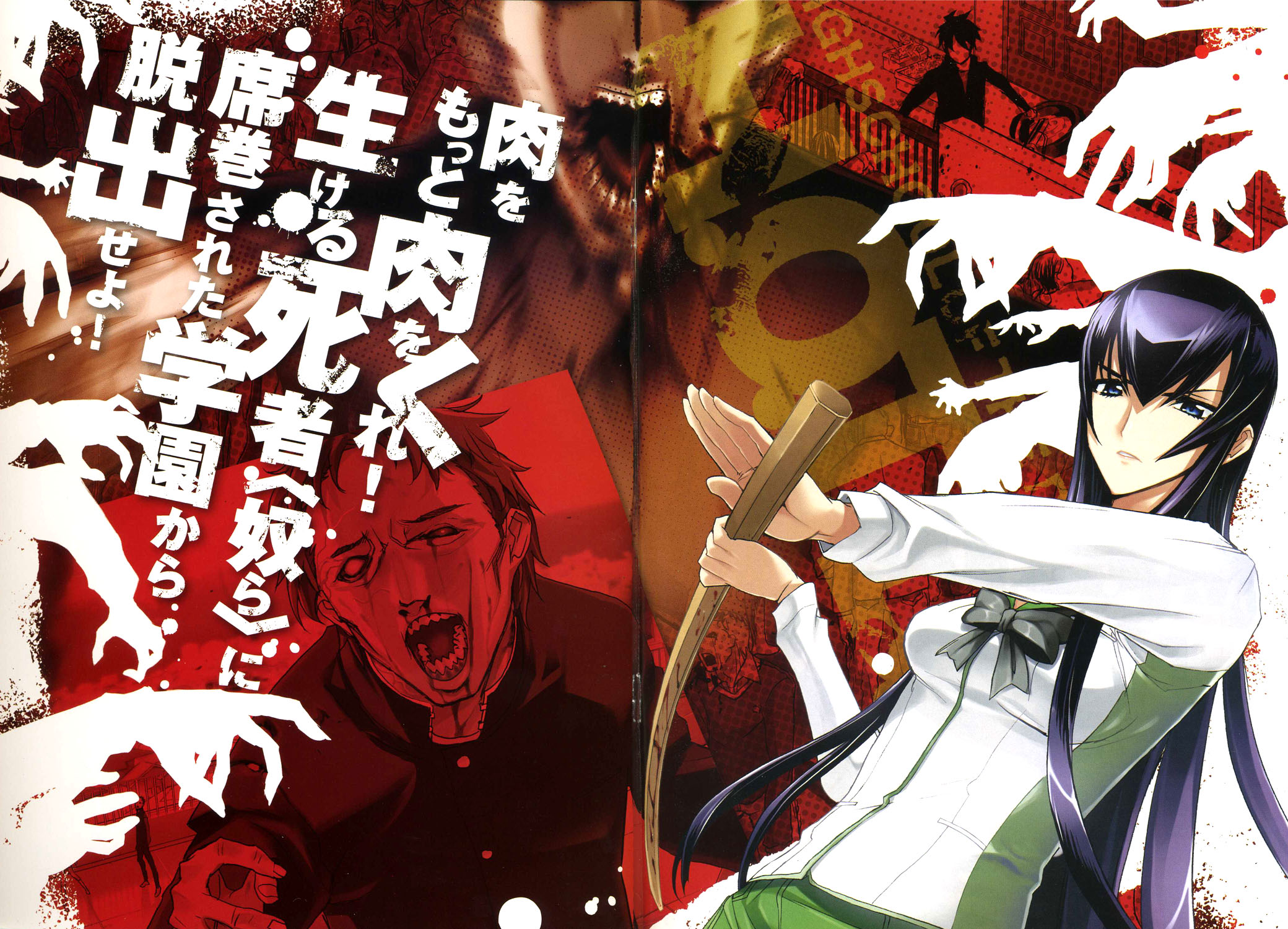 Saeko Busujima from Highschool of the Dead HD Wallpaper