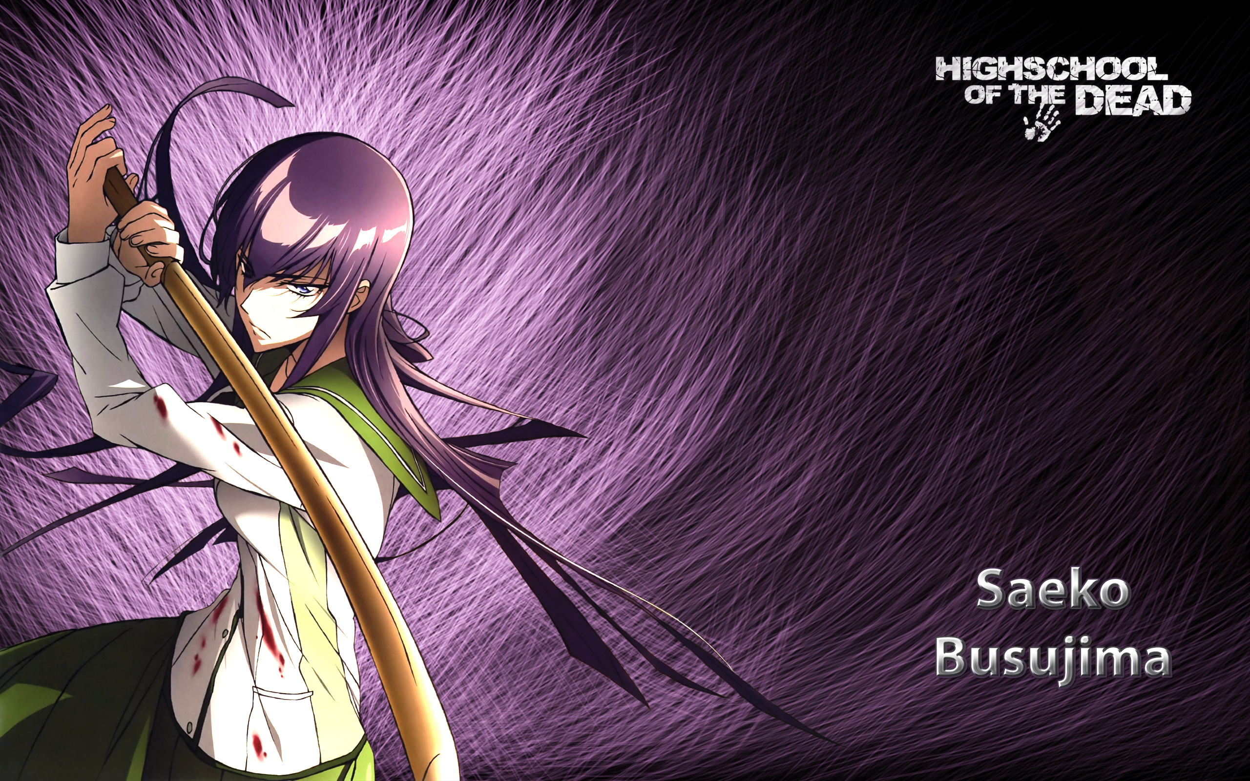 Saeko Busujima from Highschool of the Dead HD Wallpaper