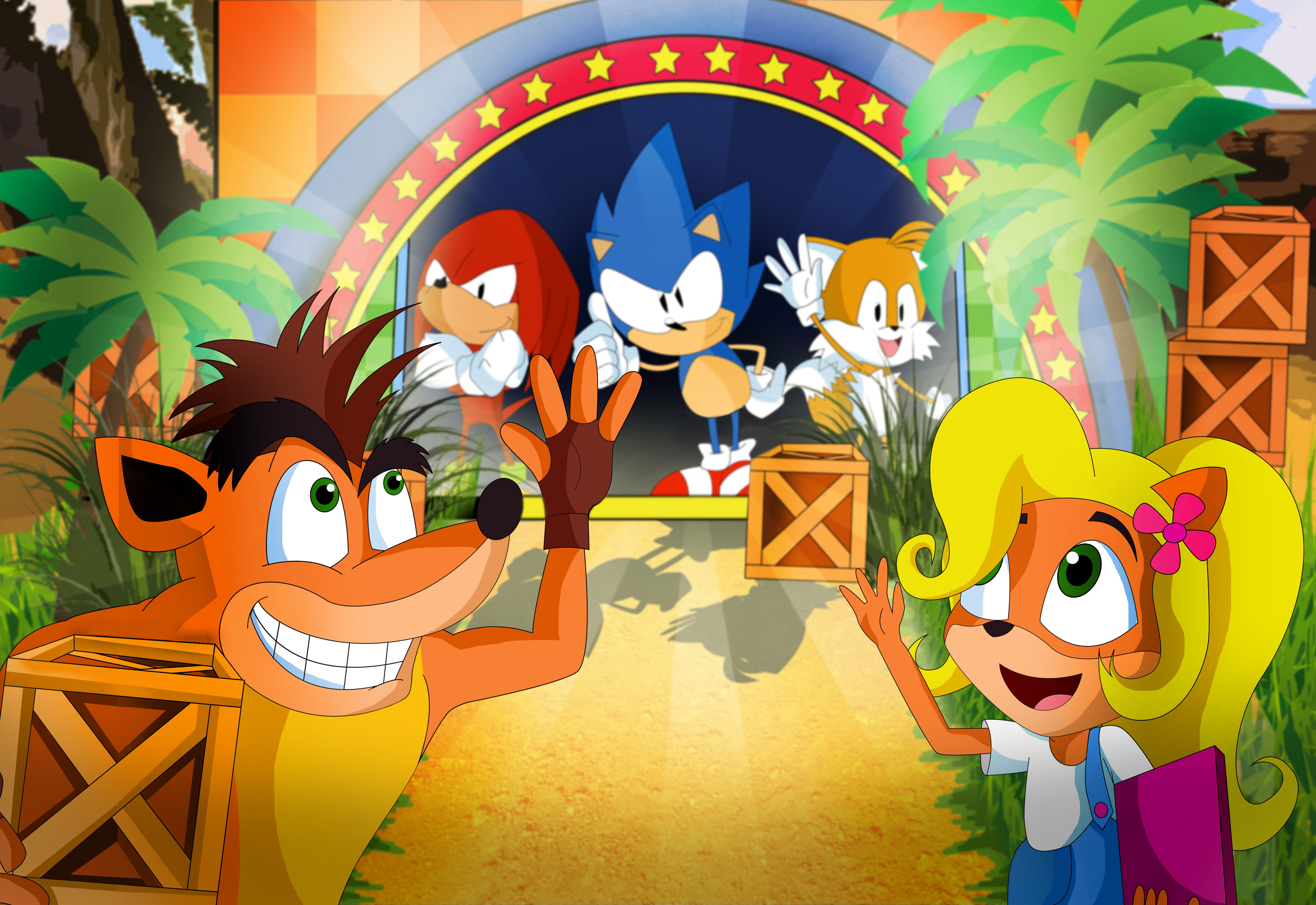 Crash Bandicoot, Coco Bandicoot, Sonic, Knuckles, and Tails HD Wallpaper