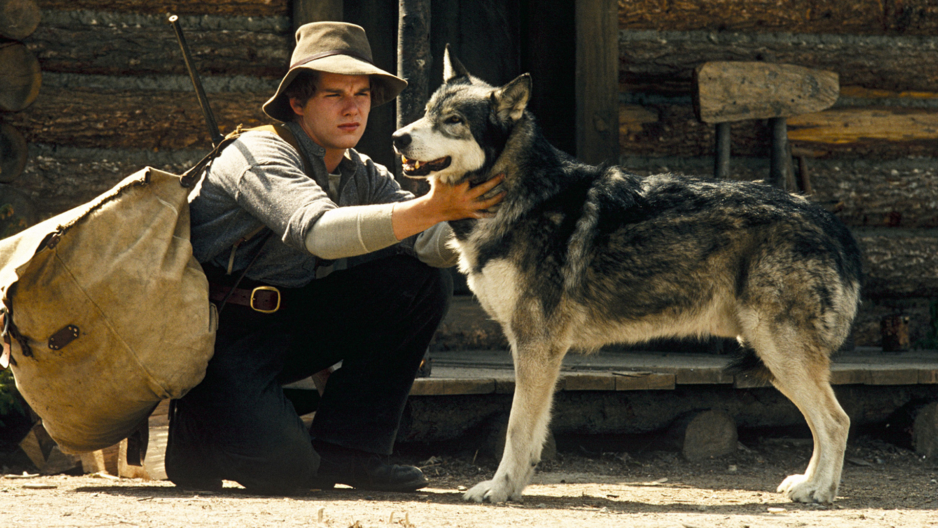Ethan Hawke with a wolf dog HD Wallpaper