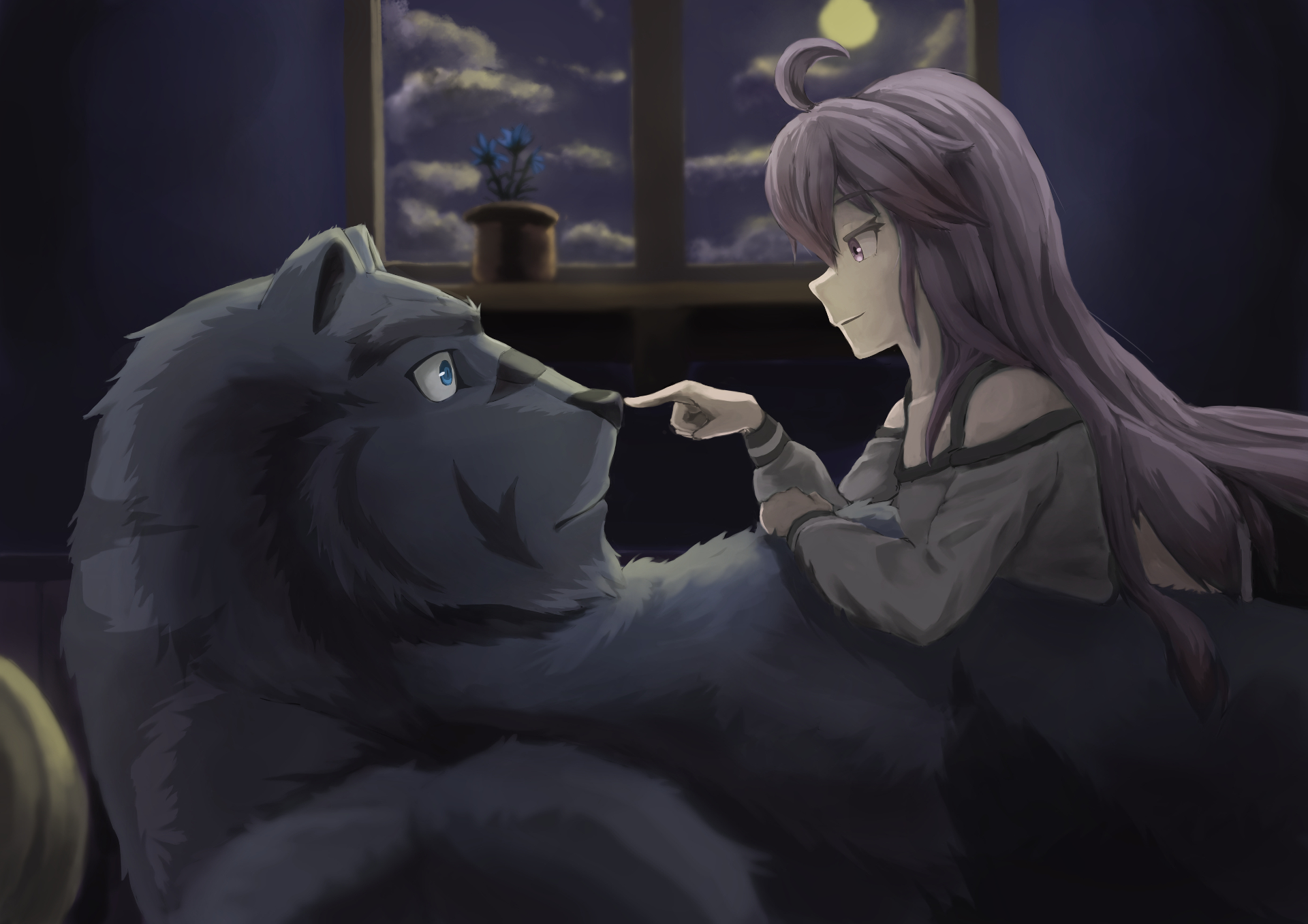 Zero from Grimoire of Zero with a bear HD Wallpaper