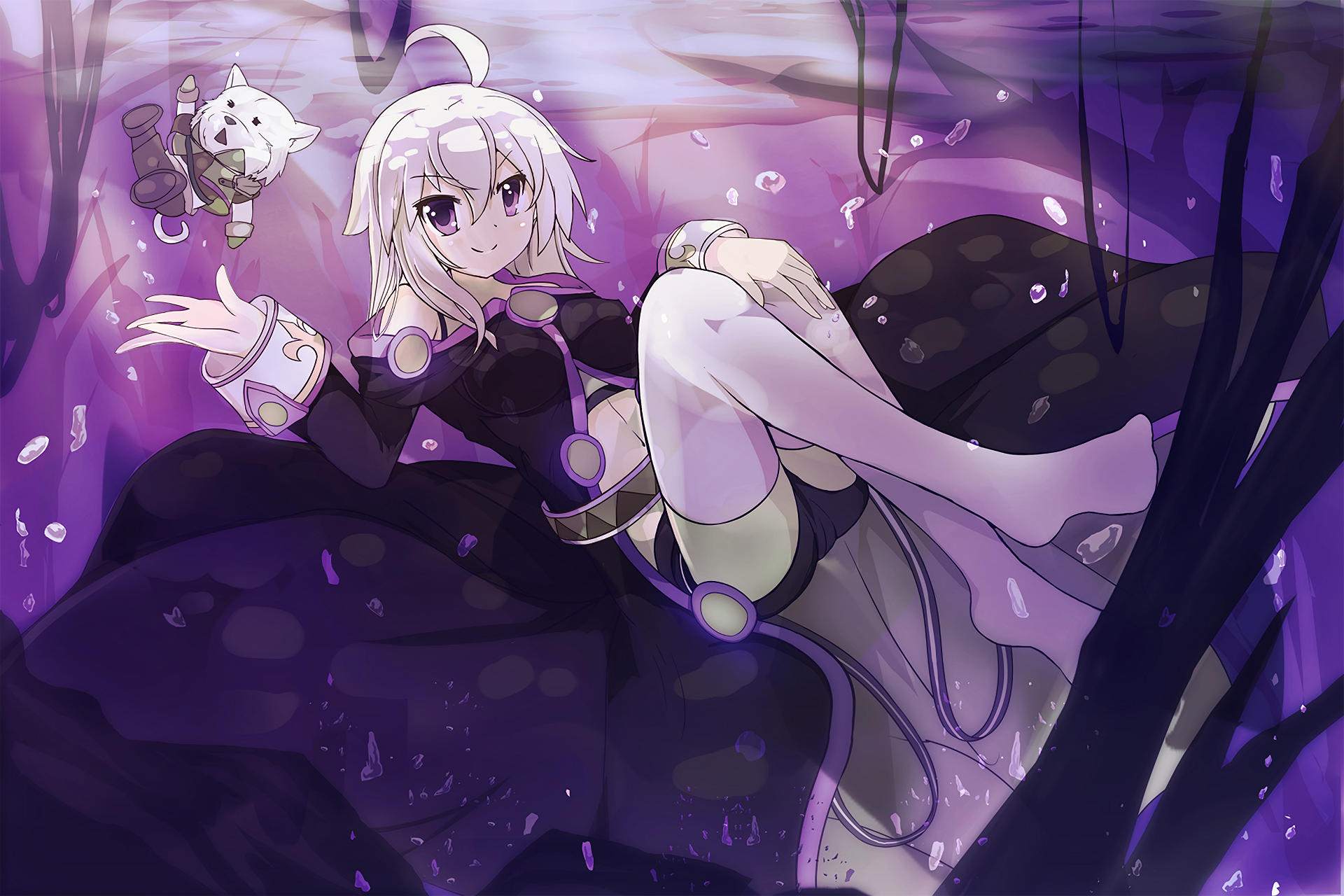 Zero from Grimoire of Zero with a companion HD Wallpaper