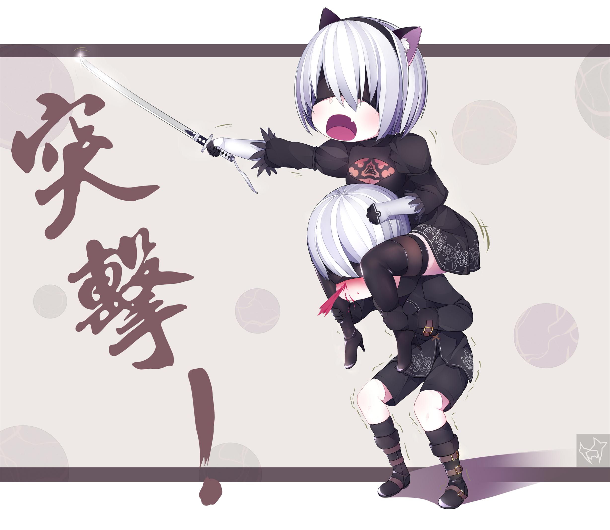 2B and 9S from NieR: Automata HD Wallpaper