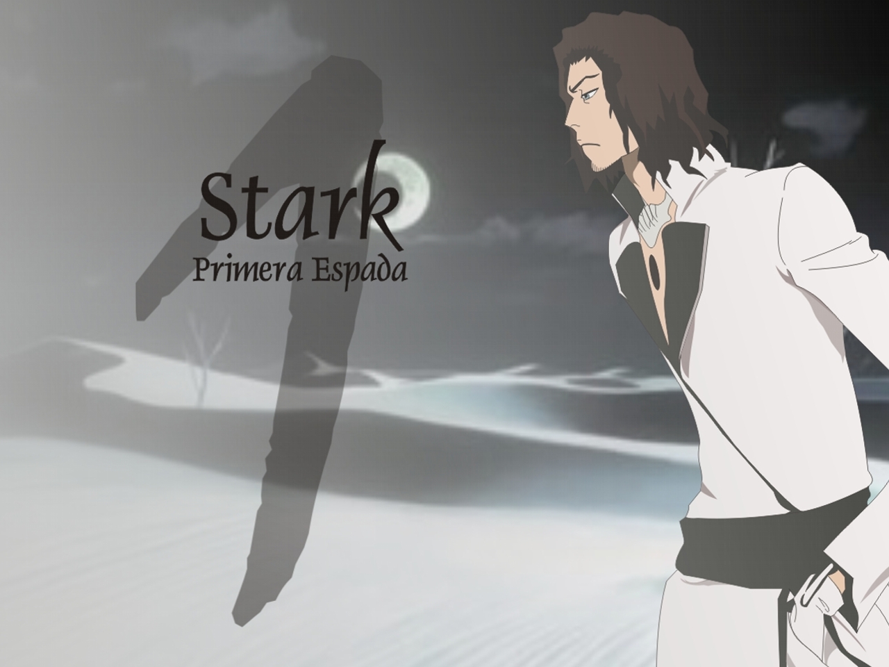 Stark Primera Espada from Bleach HD Wallpaper