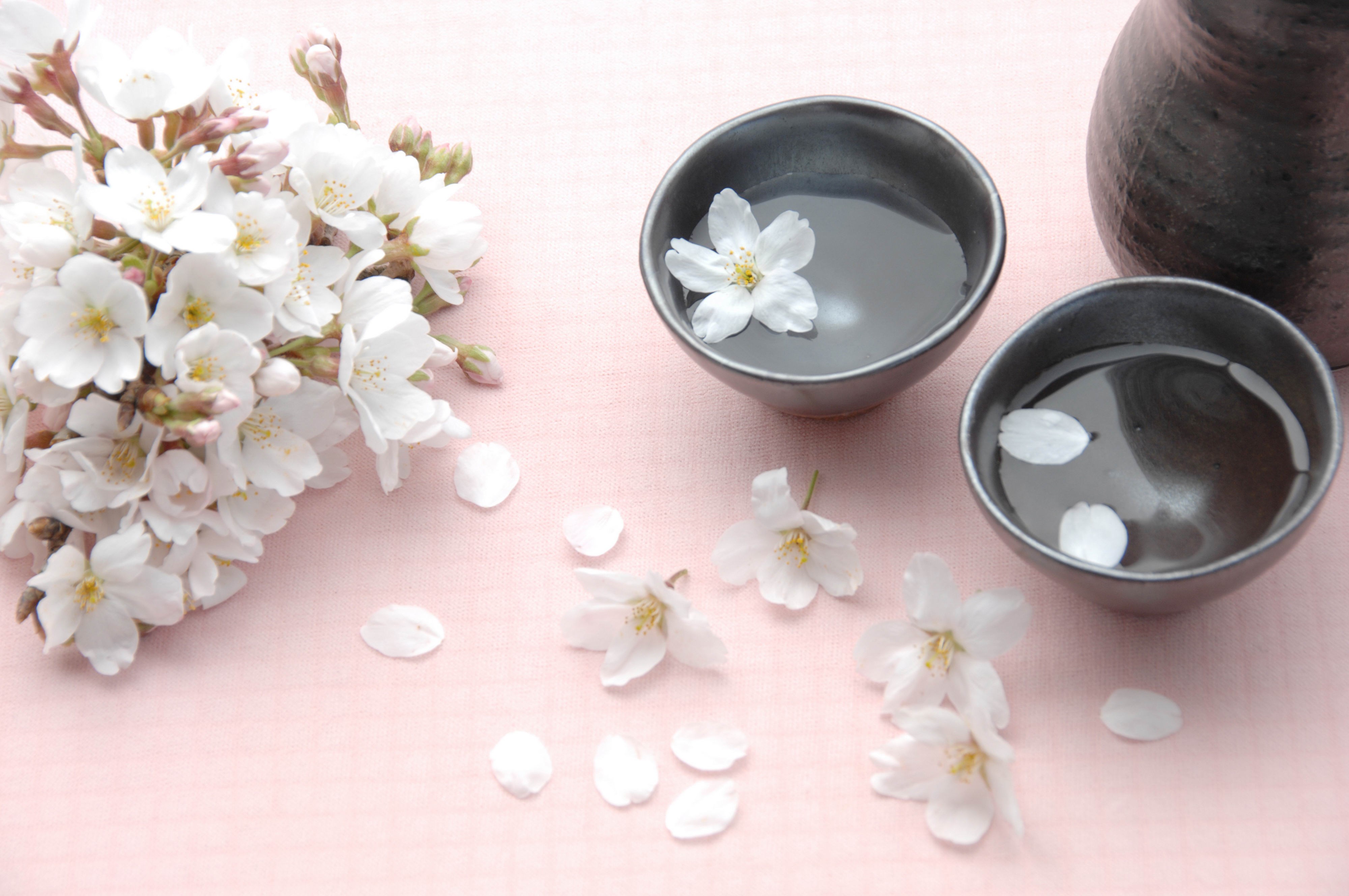 Cherry blossoms and sake cups HD Wallpaper