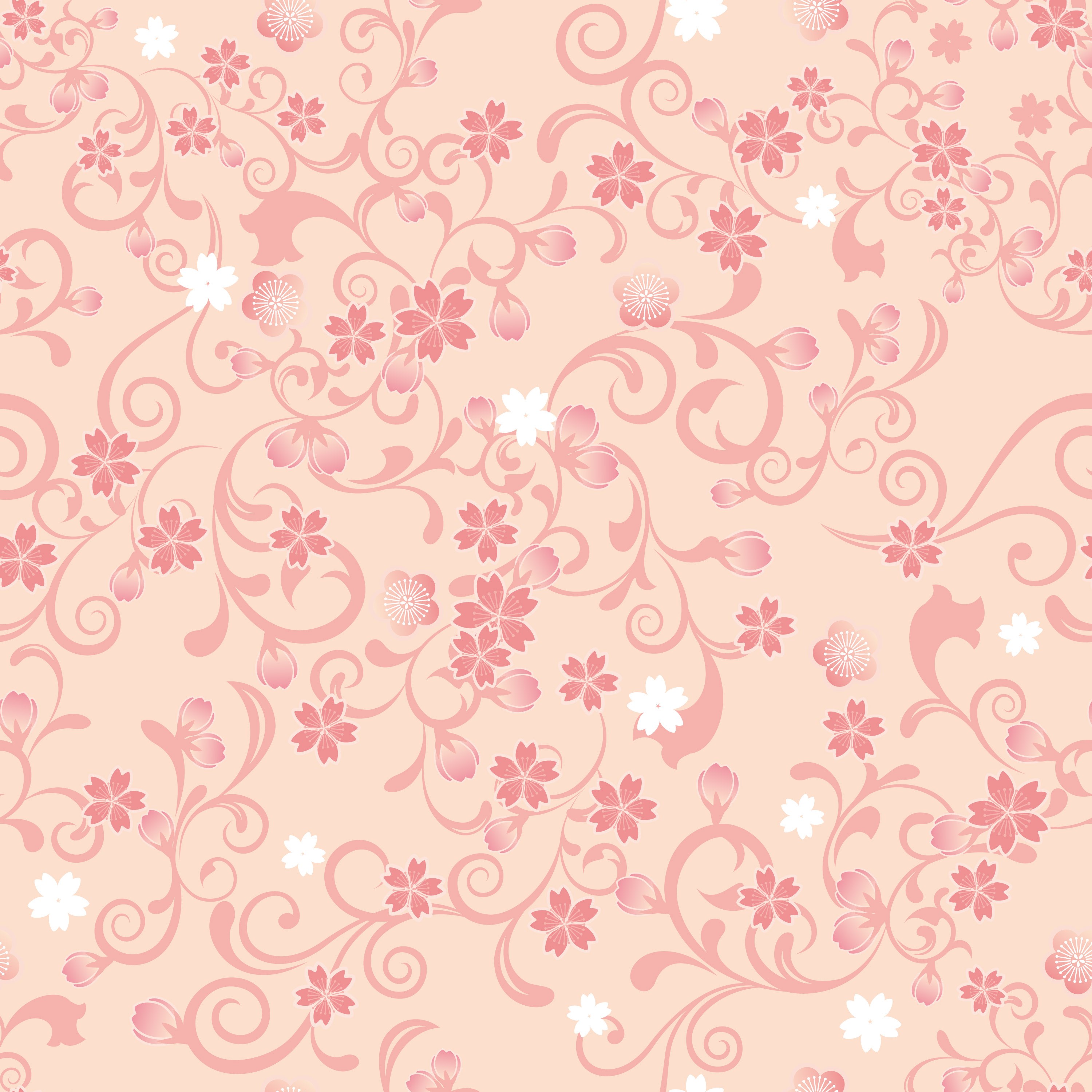 Pink and white cherry blossoms on a peach background HD Wallpaper