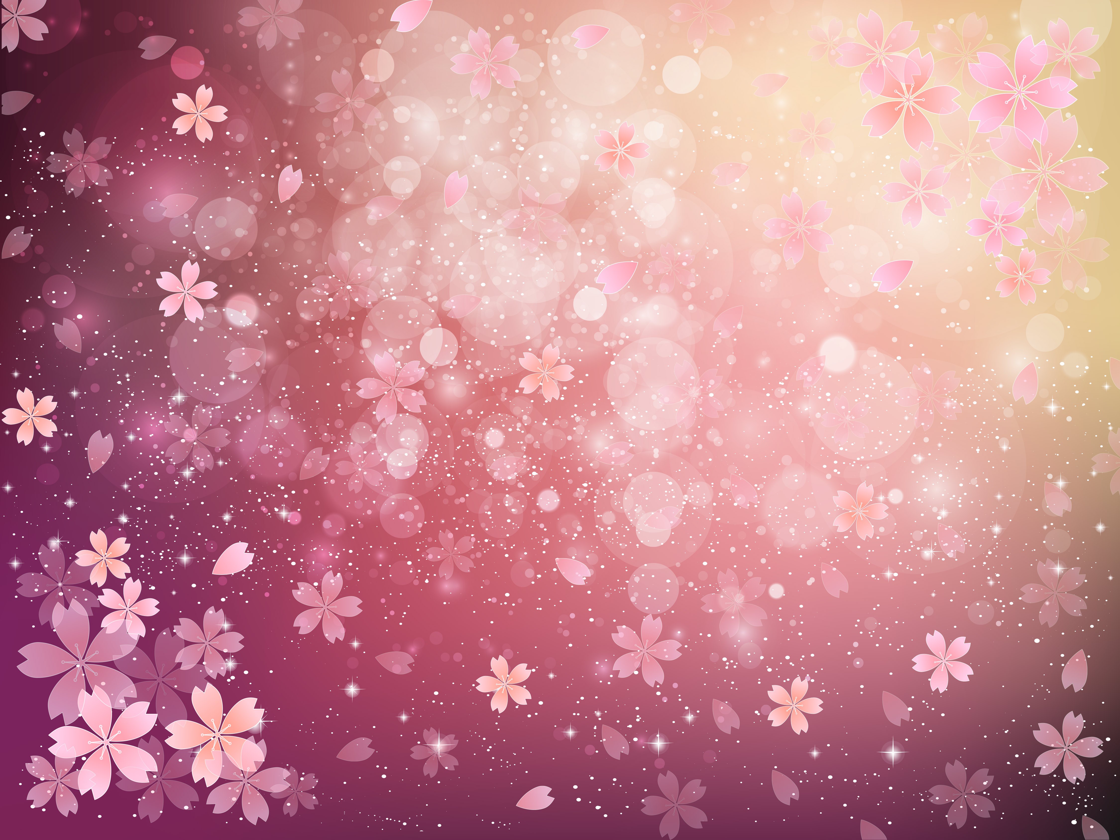 Pink cherry blossoms and bokeh lights HD Wallpaper
