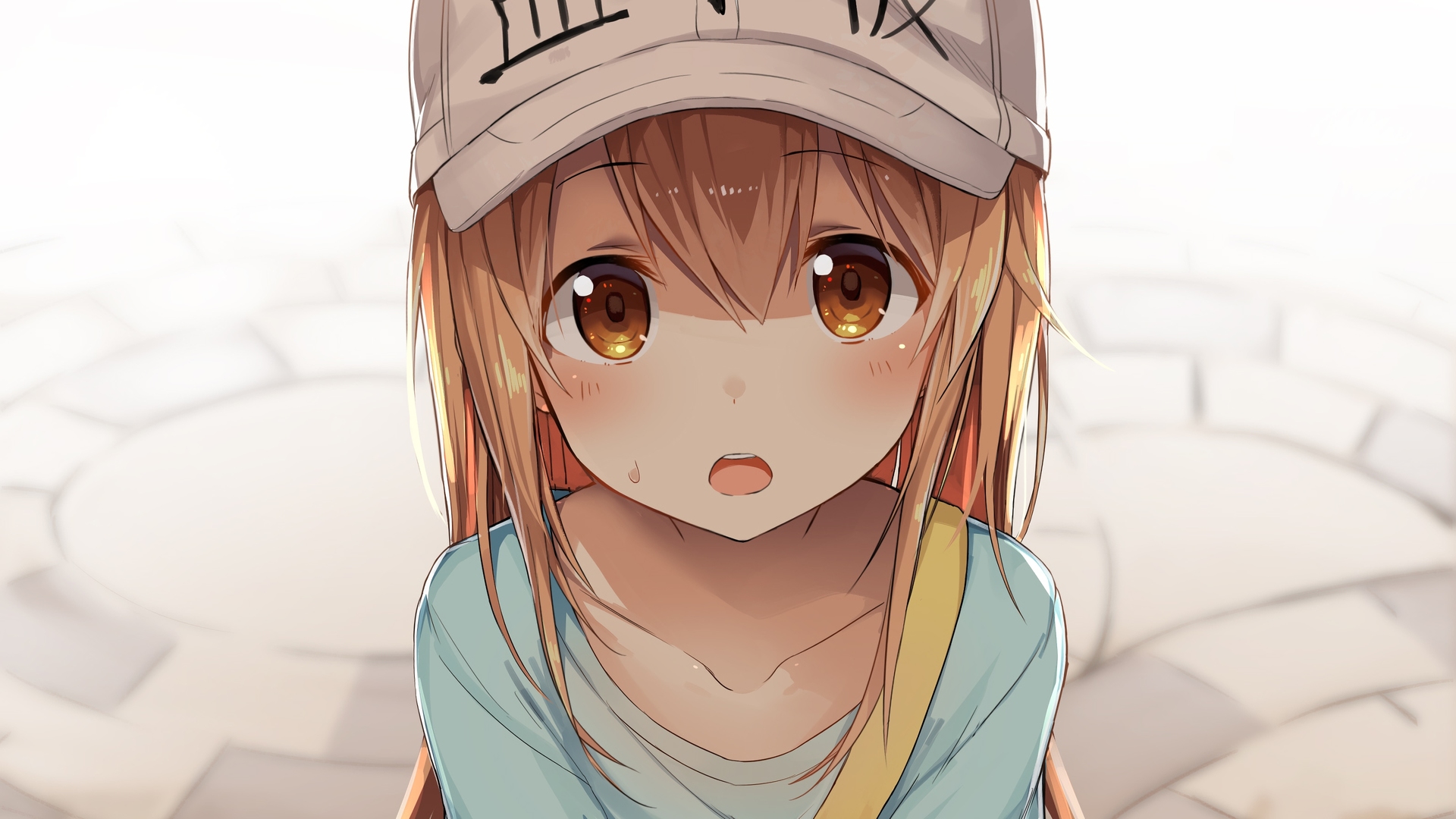 Platelet from Cells at Work! HD Wallpaper