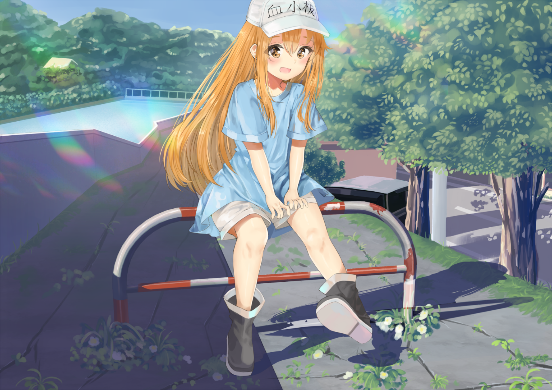 Platelet from Cells at Work! sitting on a barrier HD Wallpaper