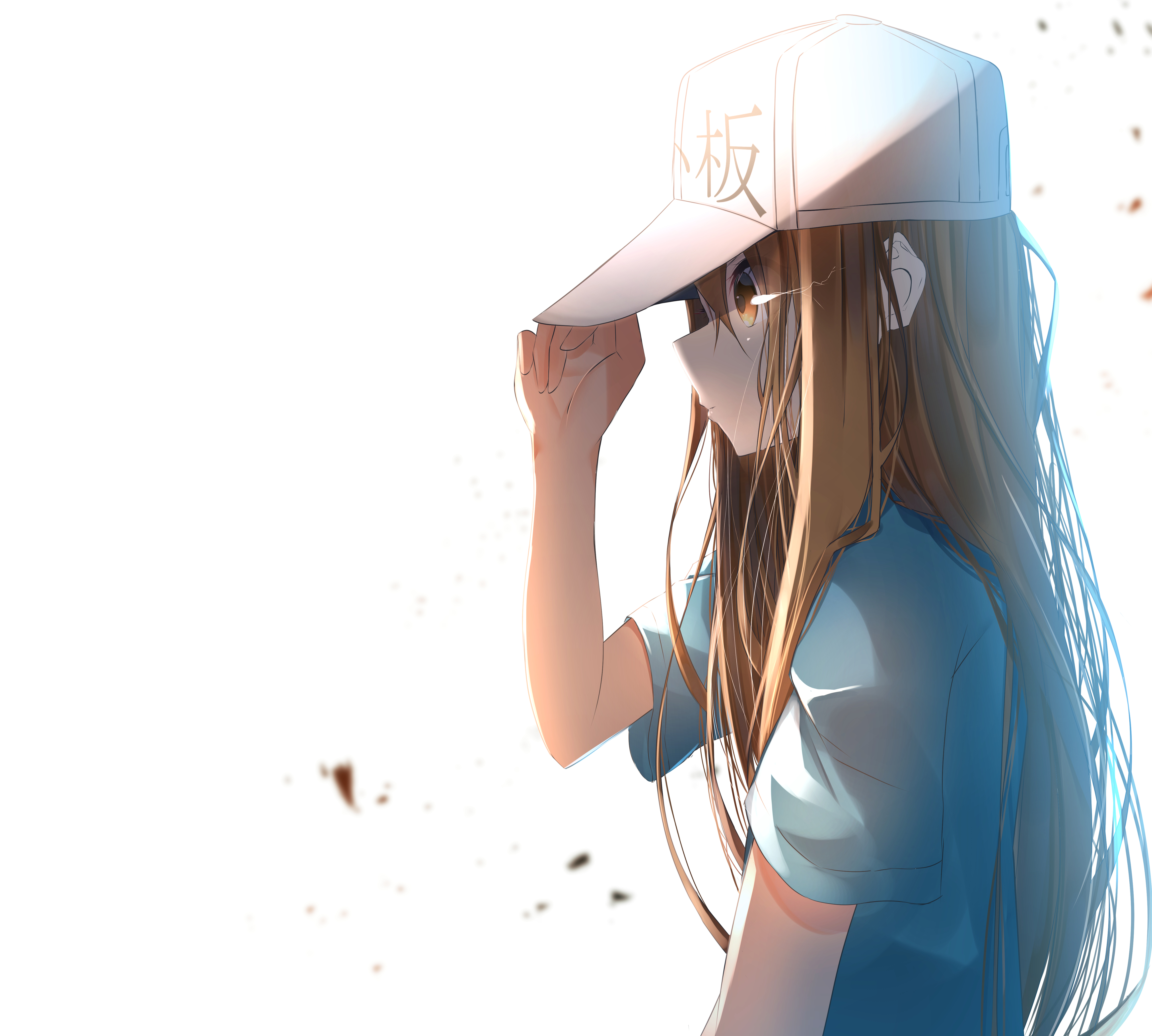 Platelet from Cells at Work! HD Wallpaper