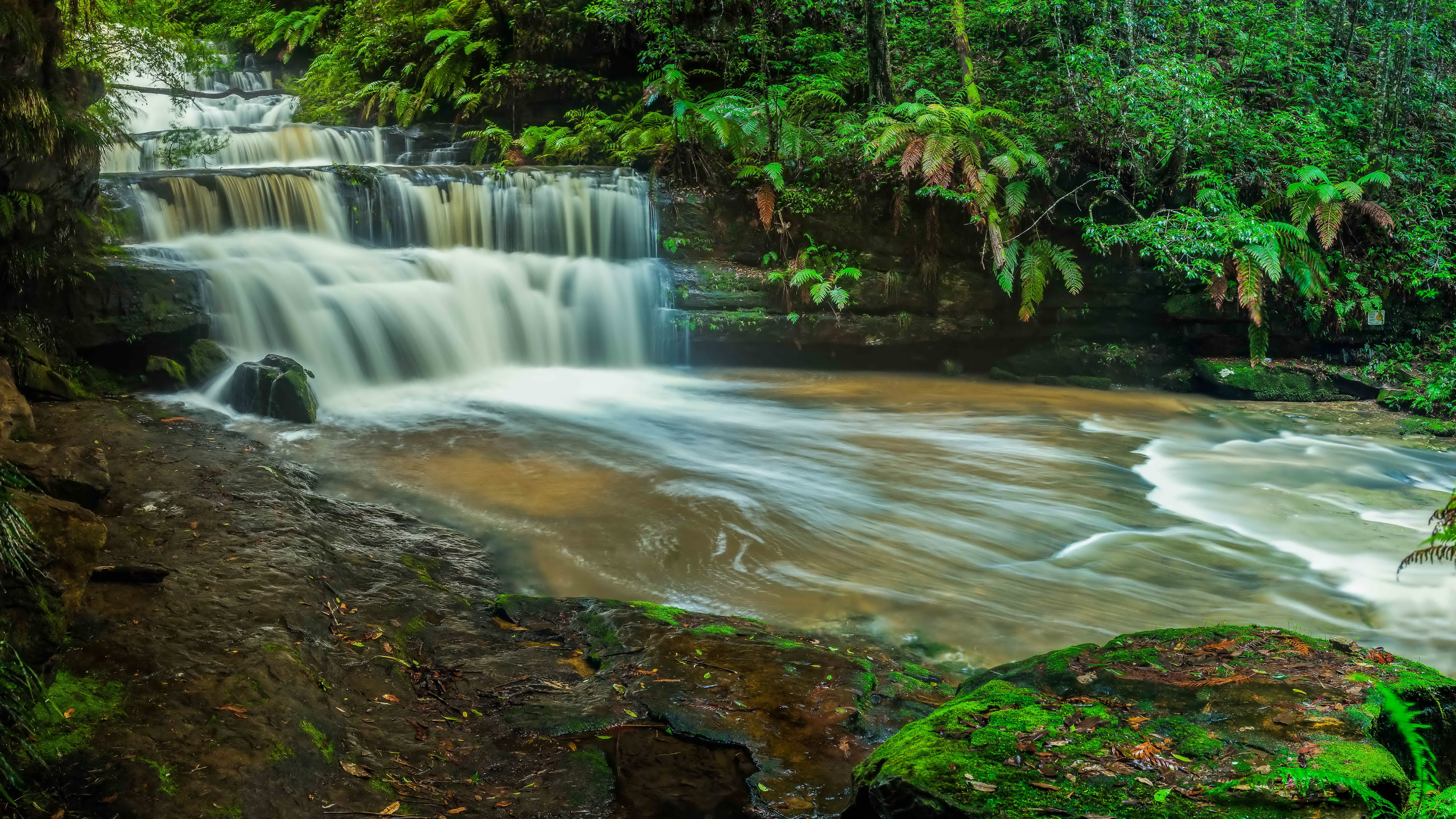 Cascading waterfall in a lush green forest HD Wallpaper