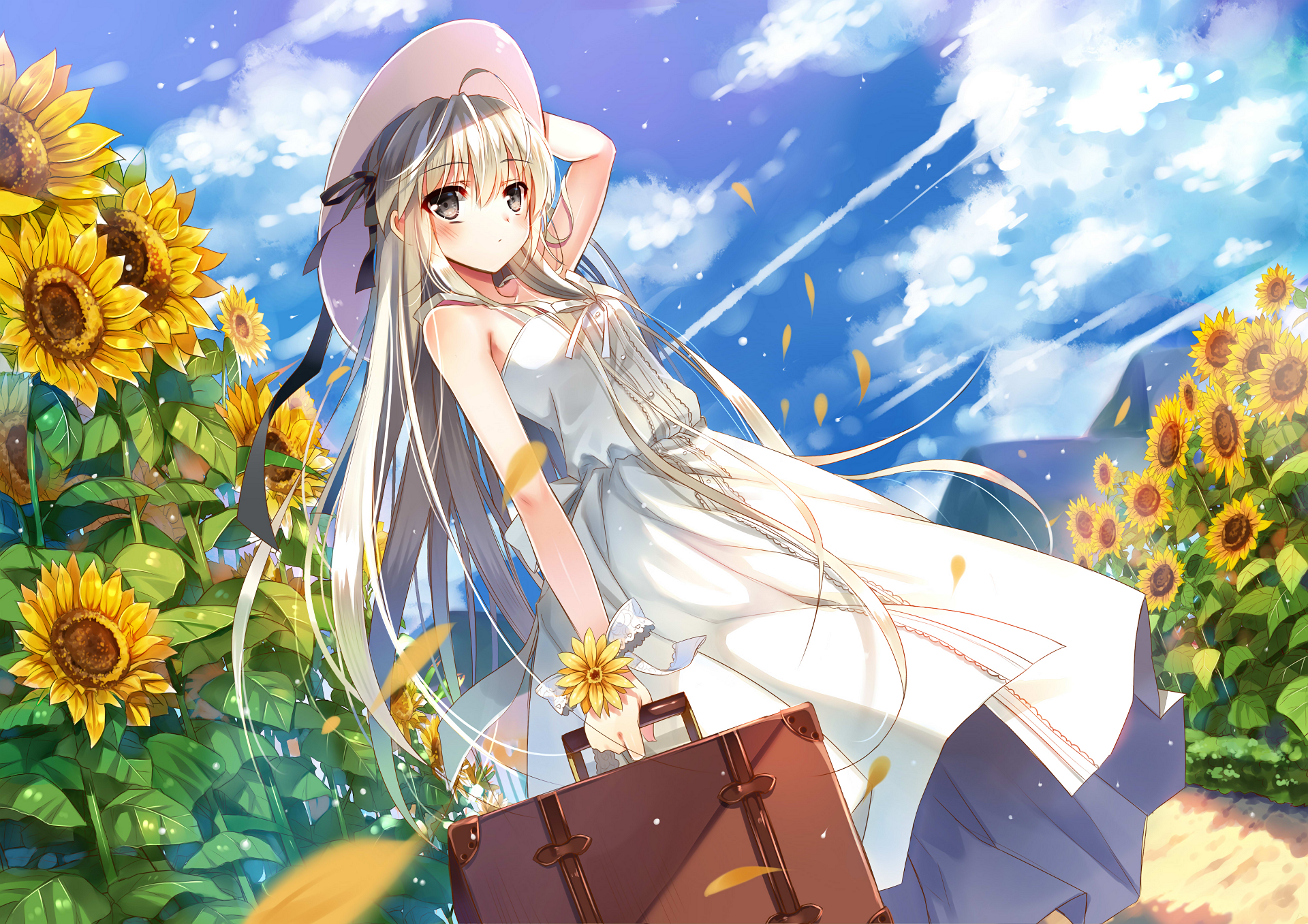 Sora Kasugano in a Sunflower Field HD Wallpaper