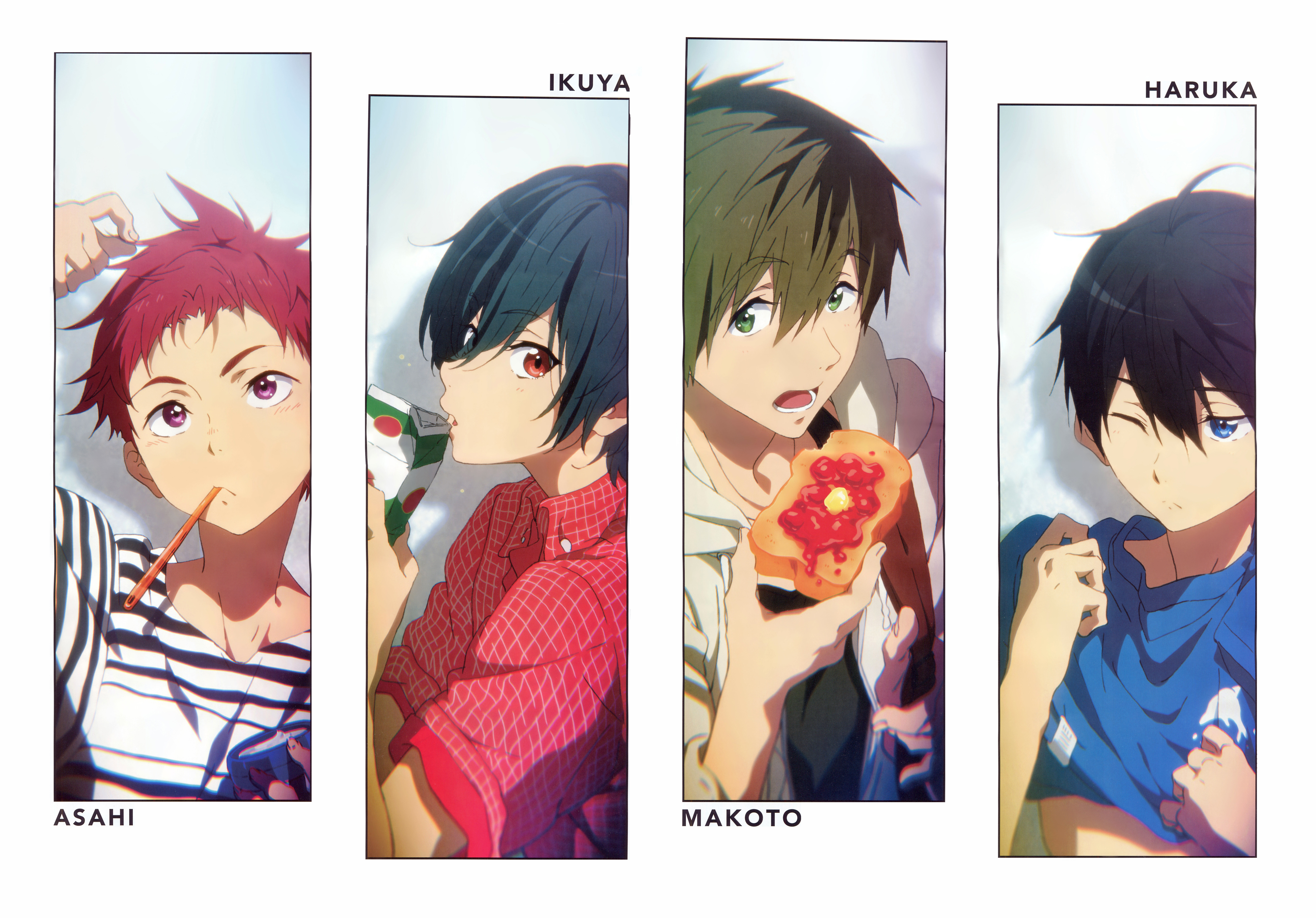 Asahi, Ikuya, Makoto, and Haruka from Free! HD Wallpaper