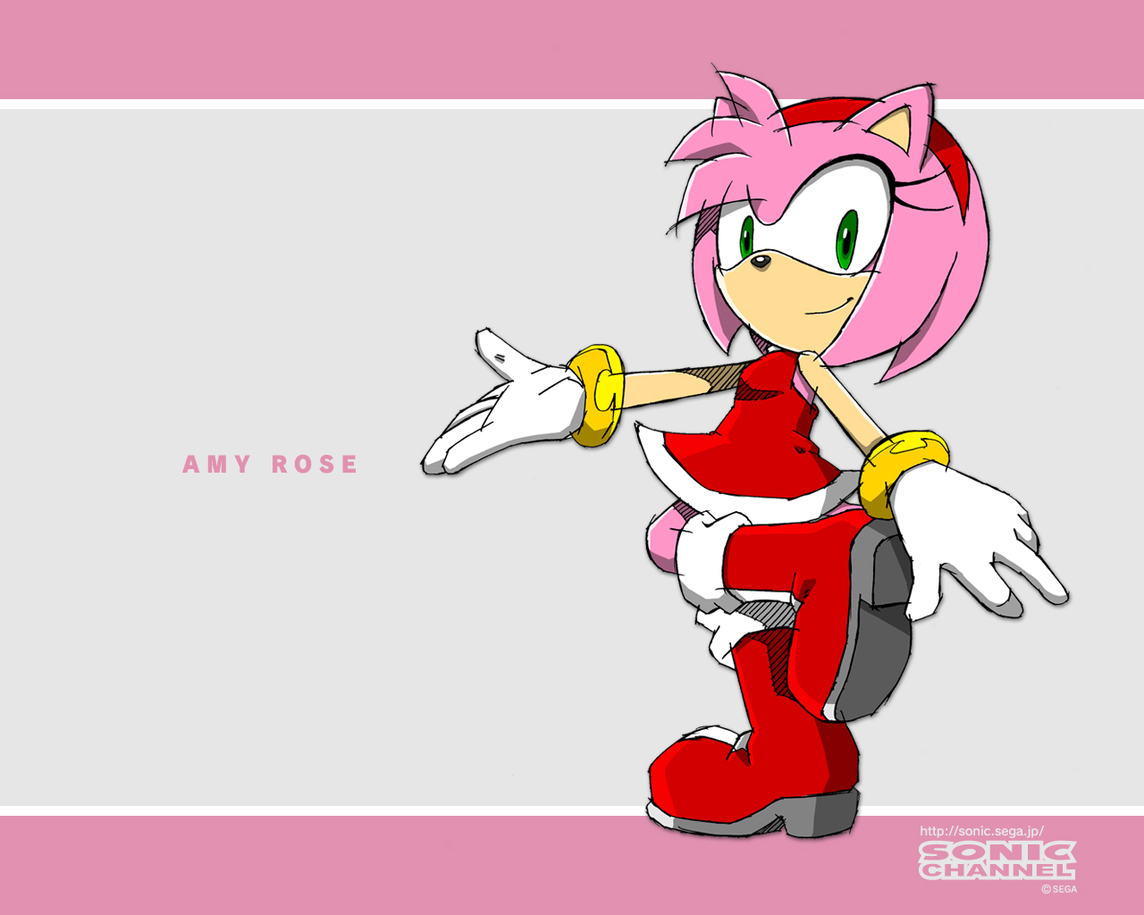 Amy Rose from Sonic the Hedgehog HD Wallpaper