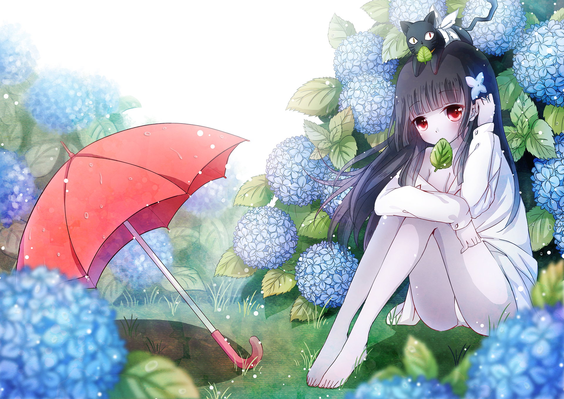 Girl with cat and umbrella in hydrangeas HD Wallpaper